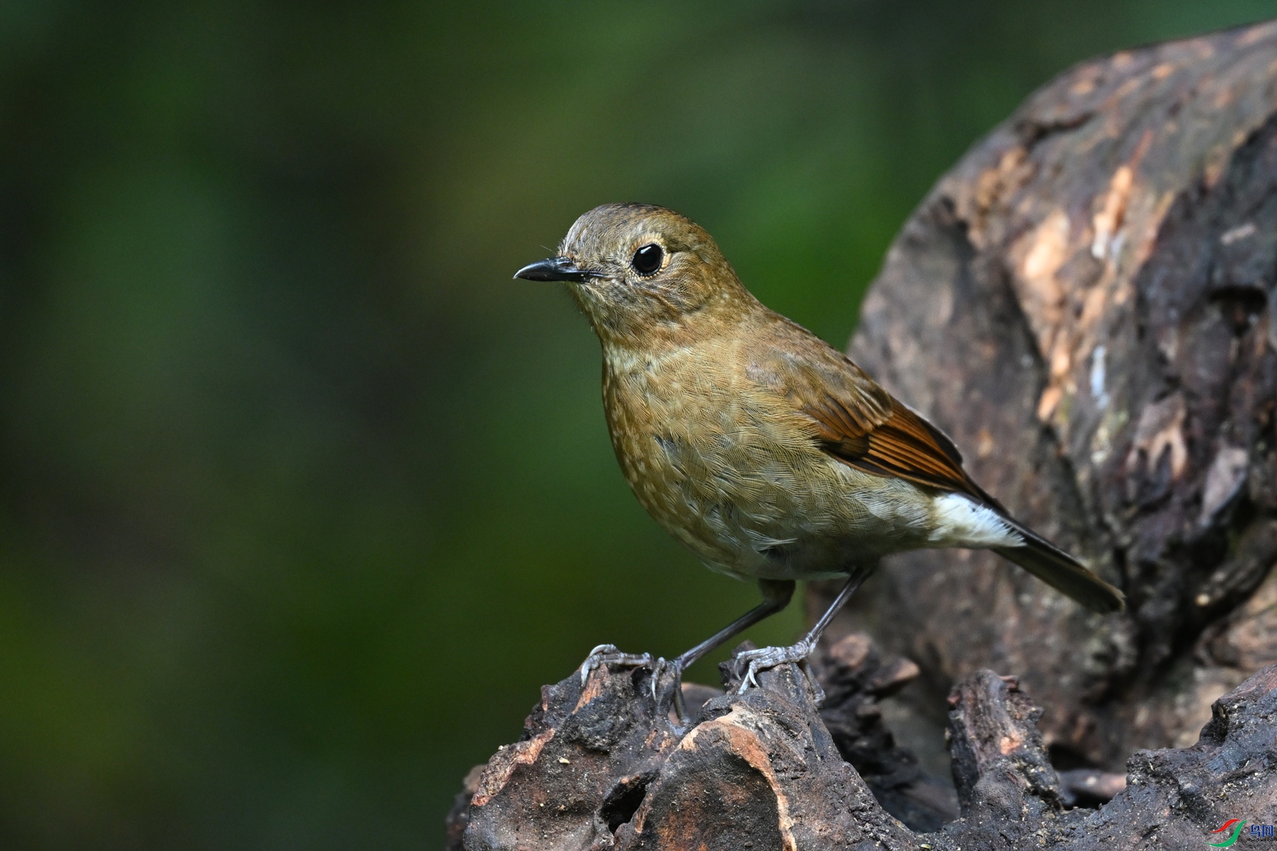 DSC_7275.JPG