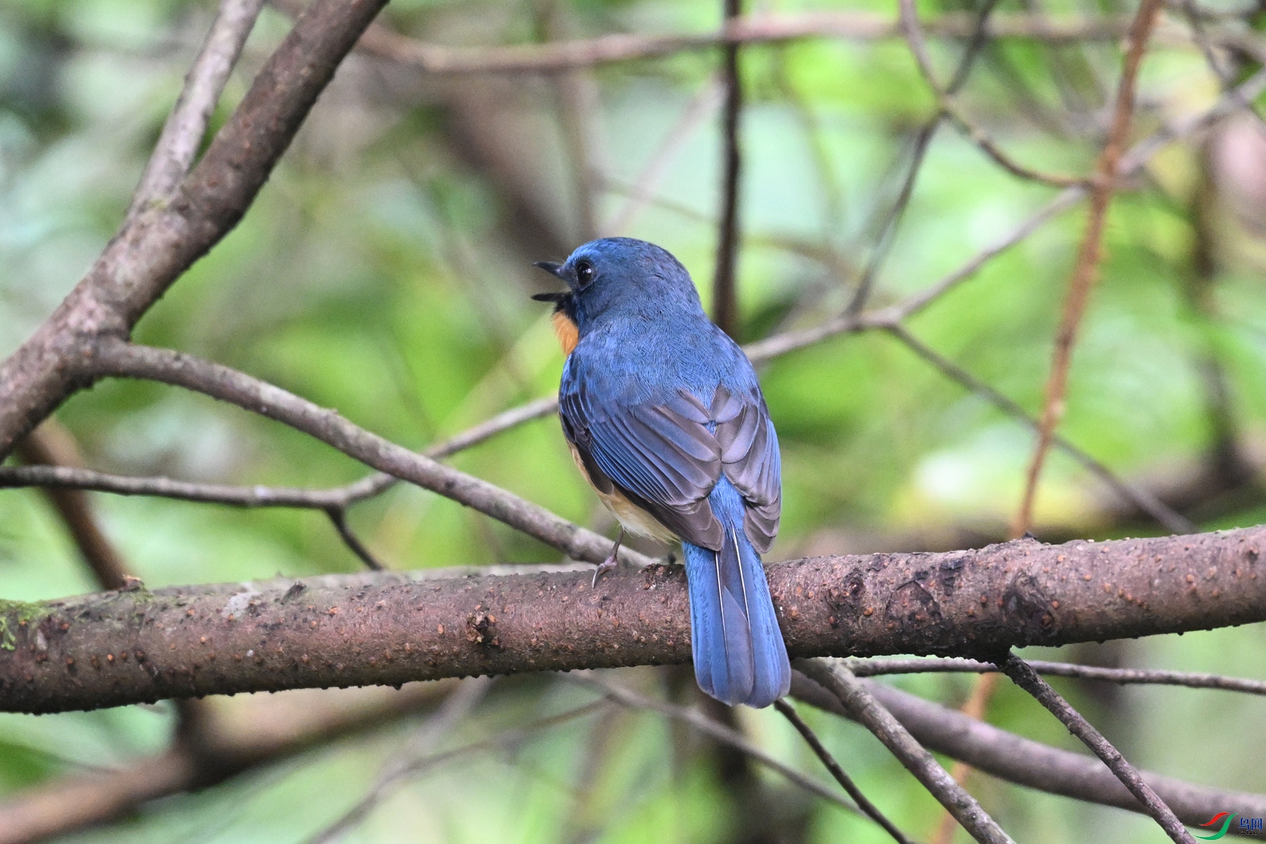 DSC_7278.JPG