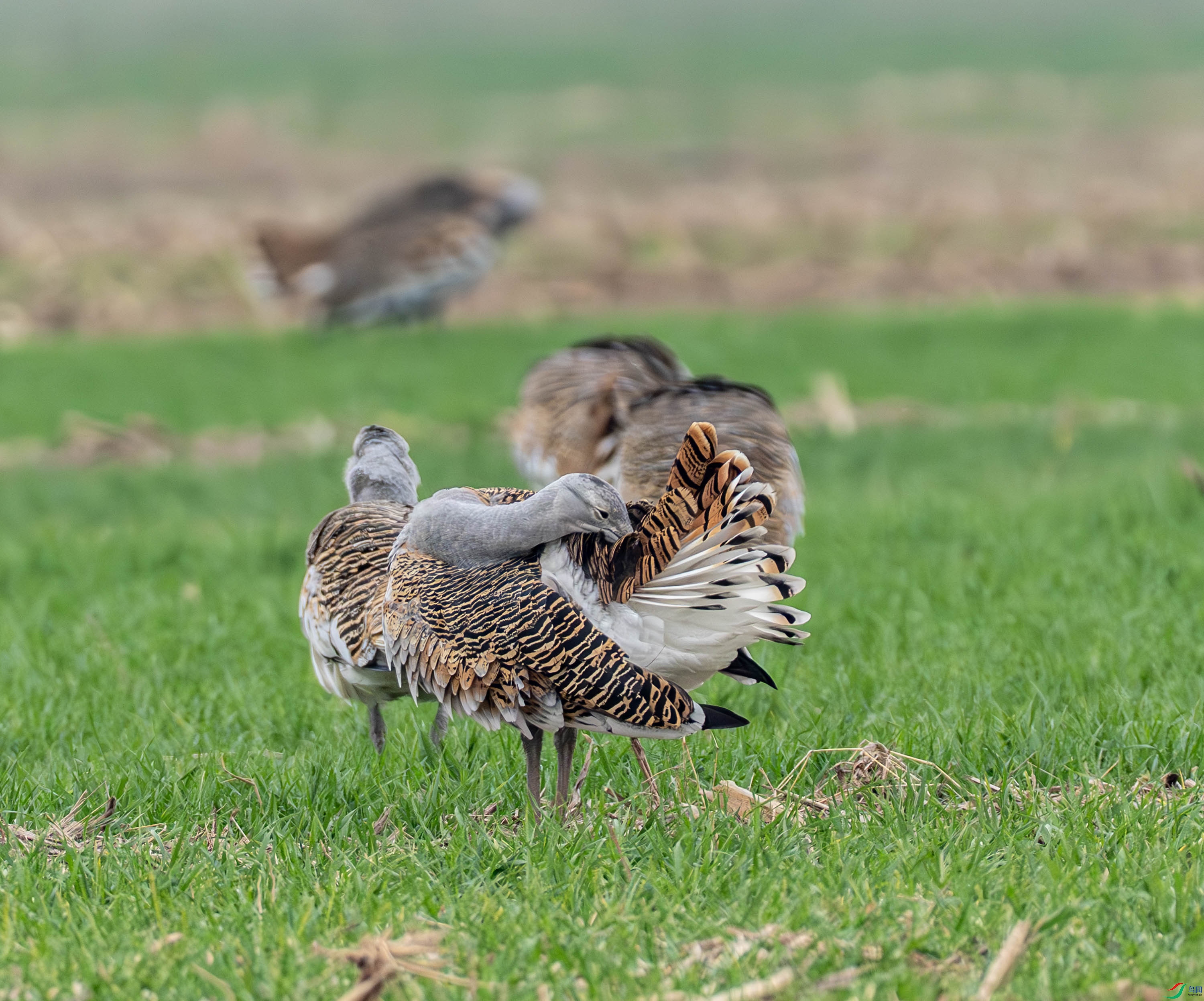 ���-14-16.jpg