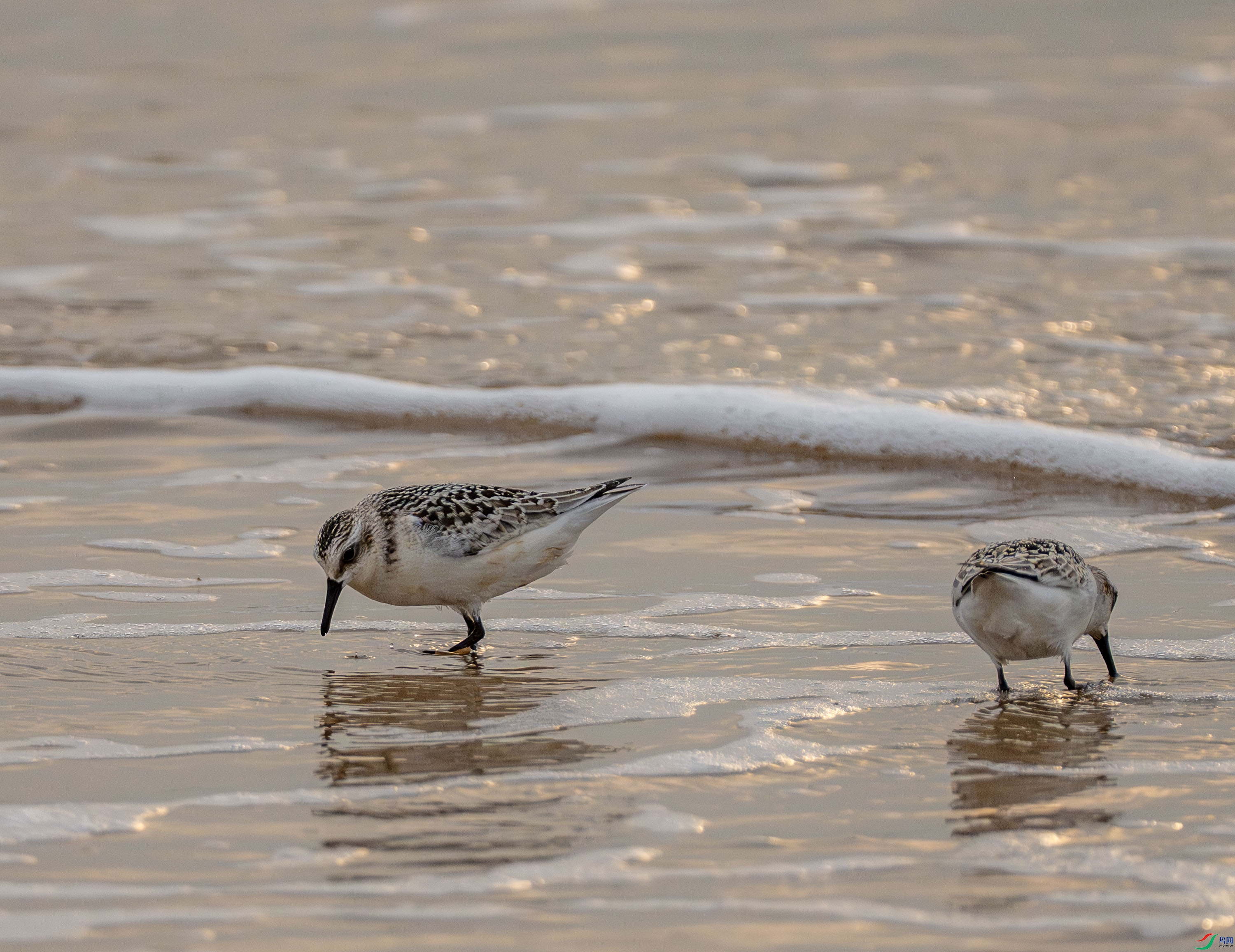 ׷���˻�-��ֺ���� (7 - 41).jpg