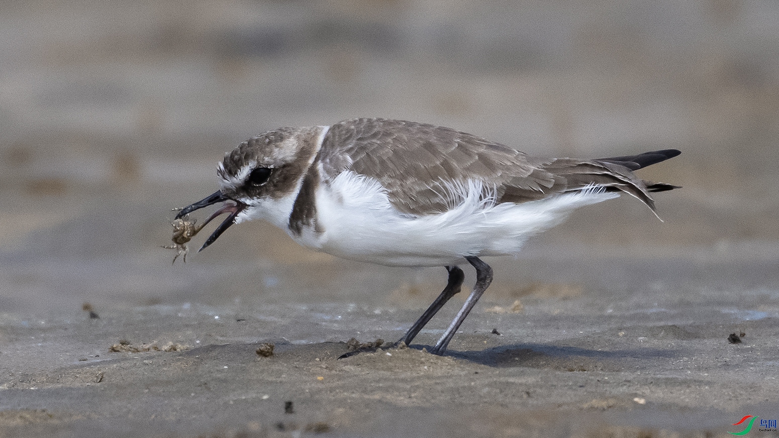 DSC_7064-.jpg