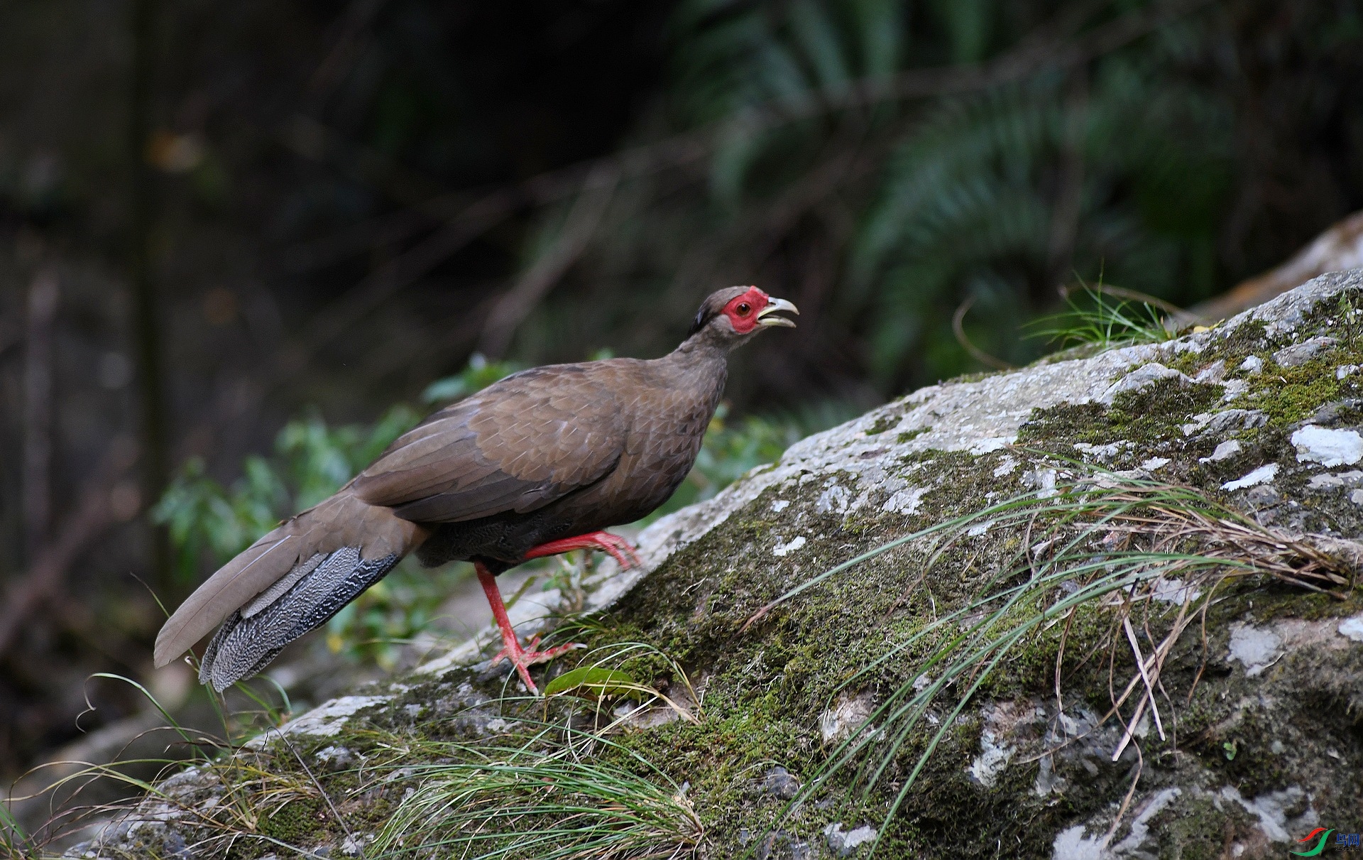 DSC_4043.jpg