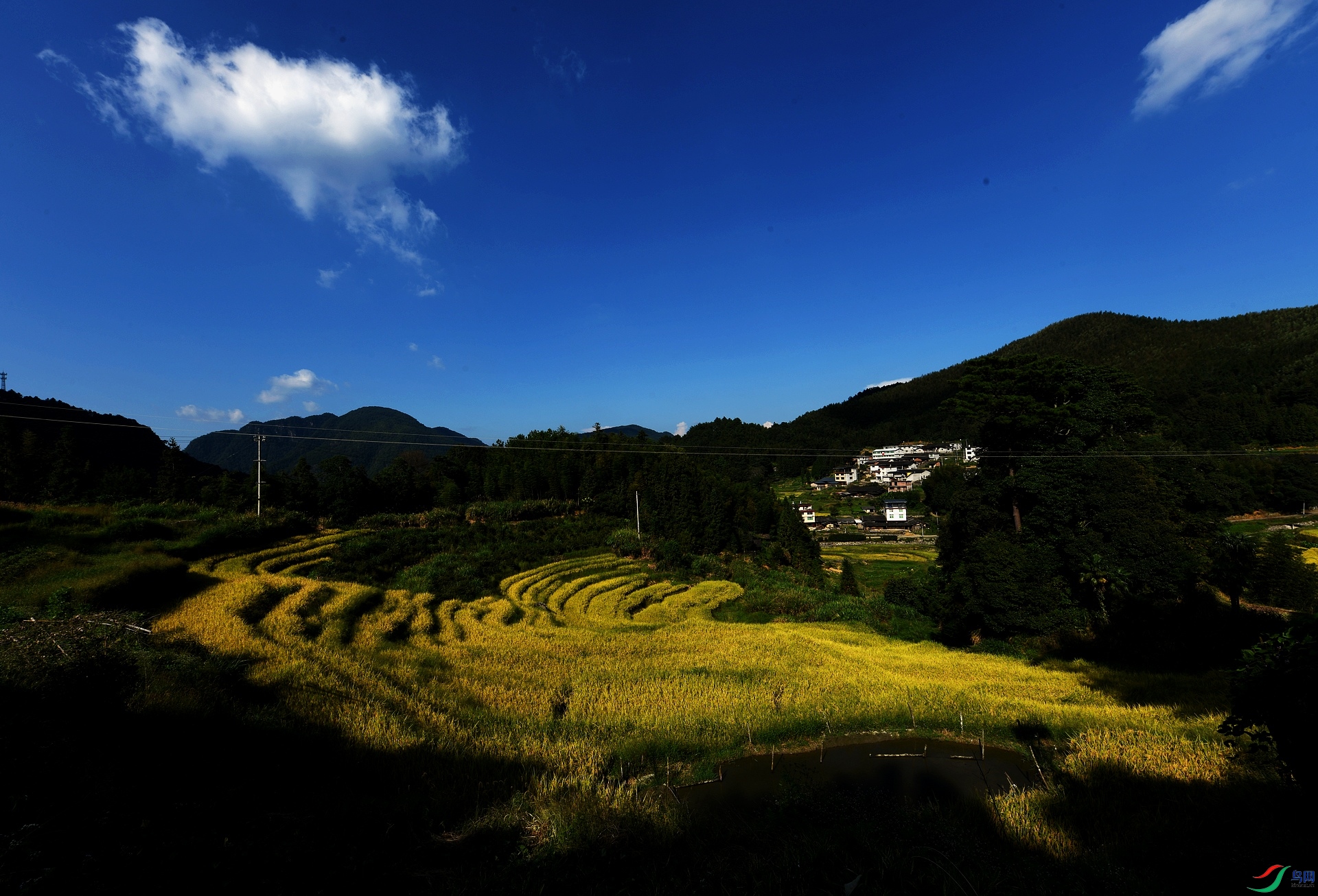 DSC_6424.jpg