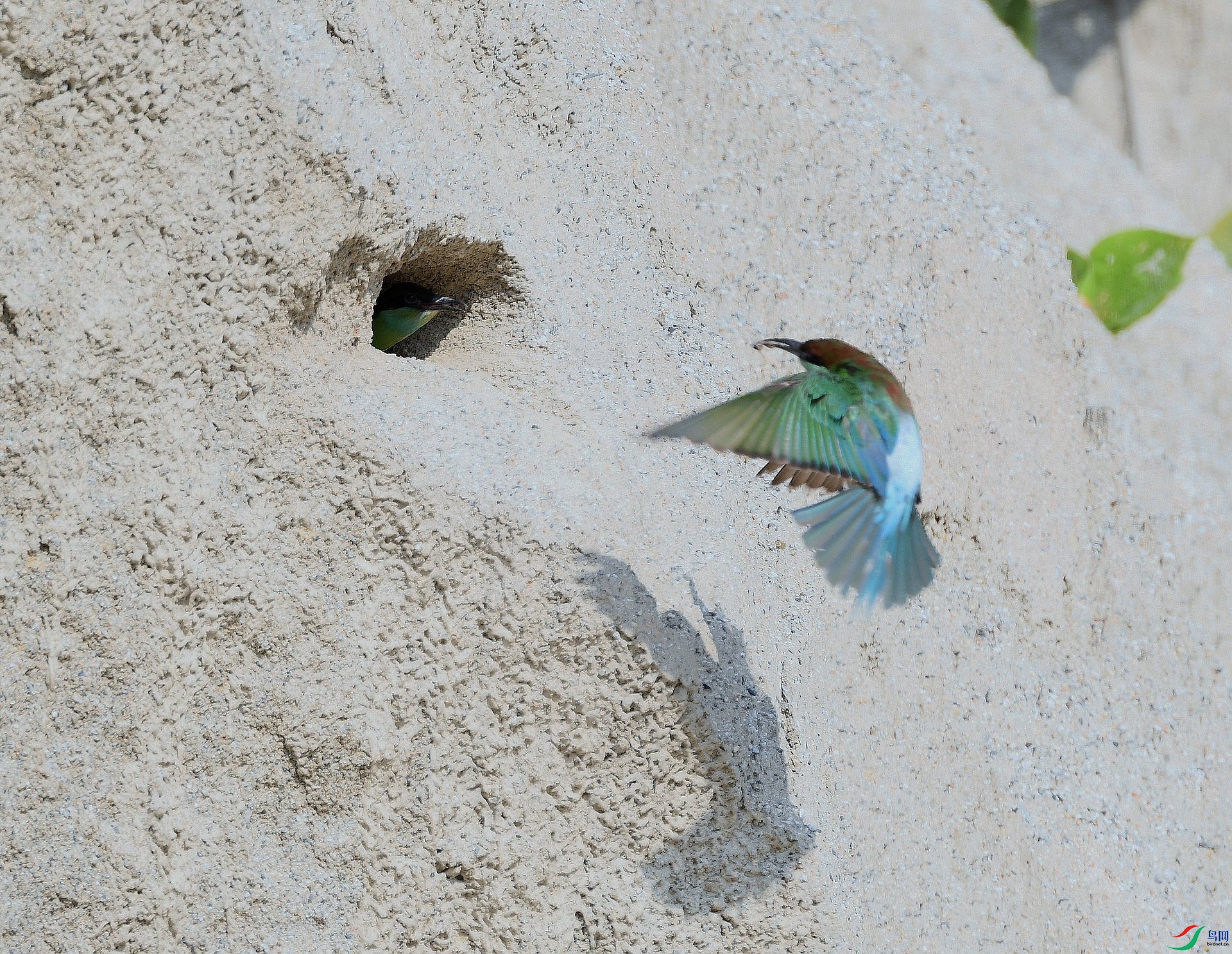 DSC_0899.jpg