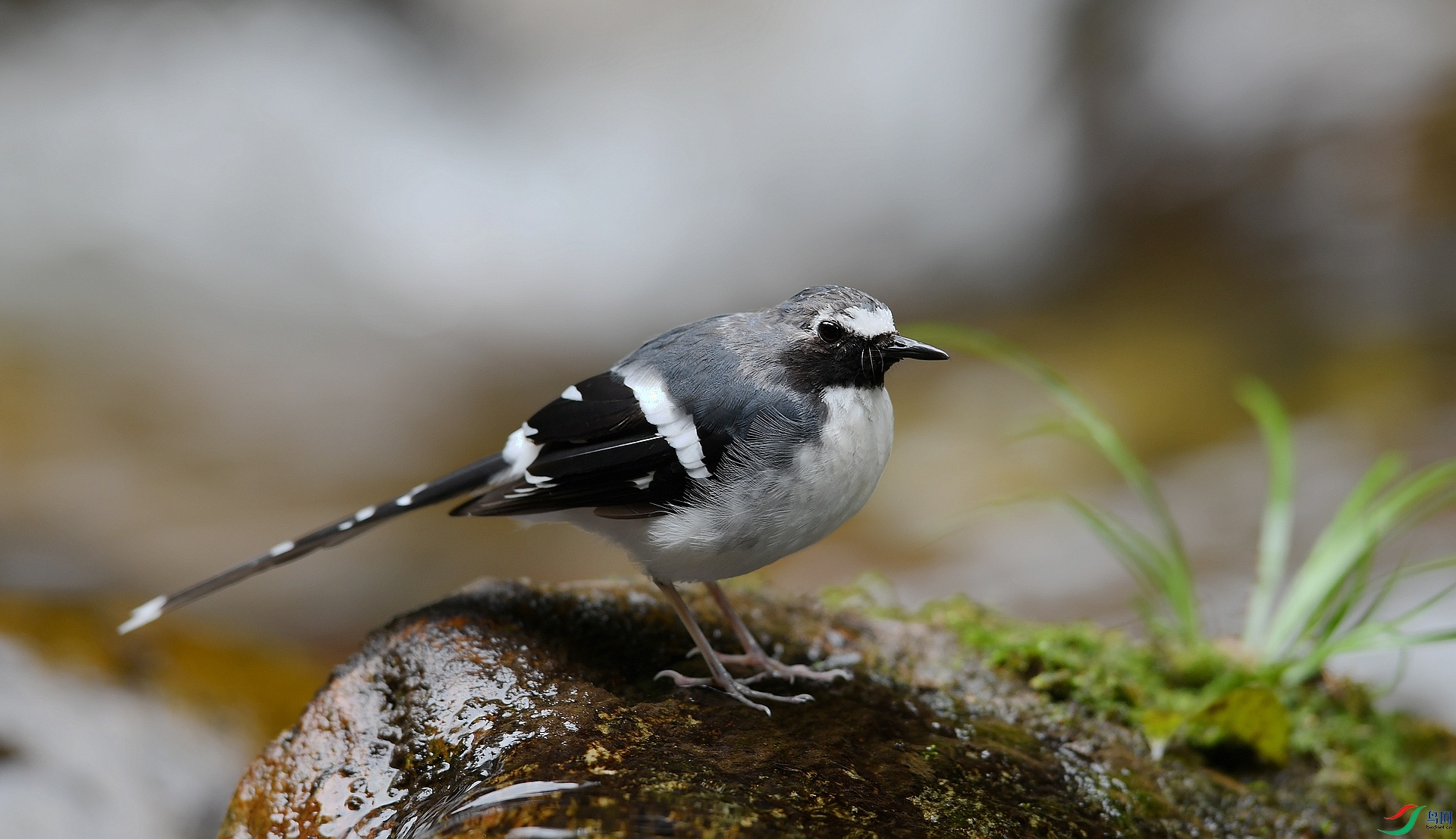 DSC_8442.jpg