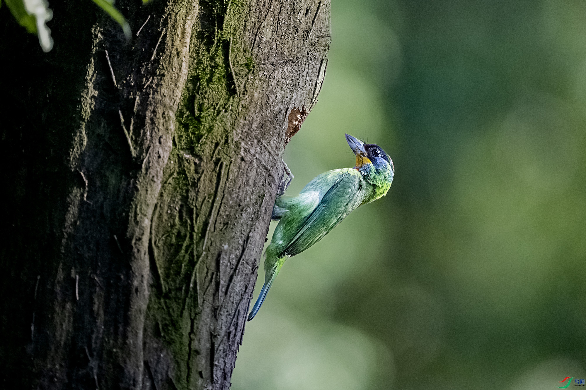DSC_3458.jpg