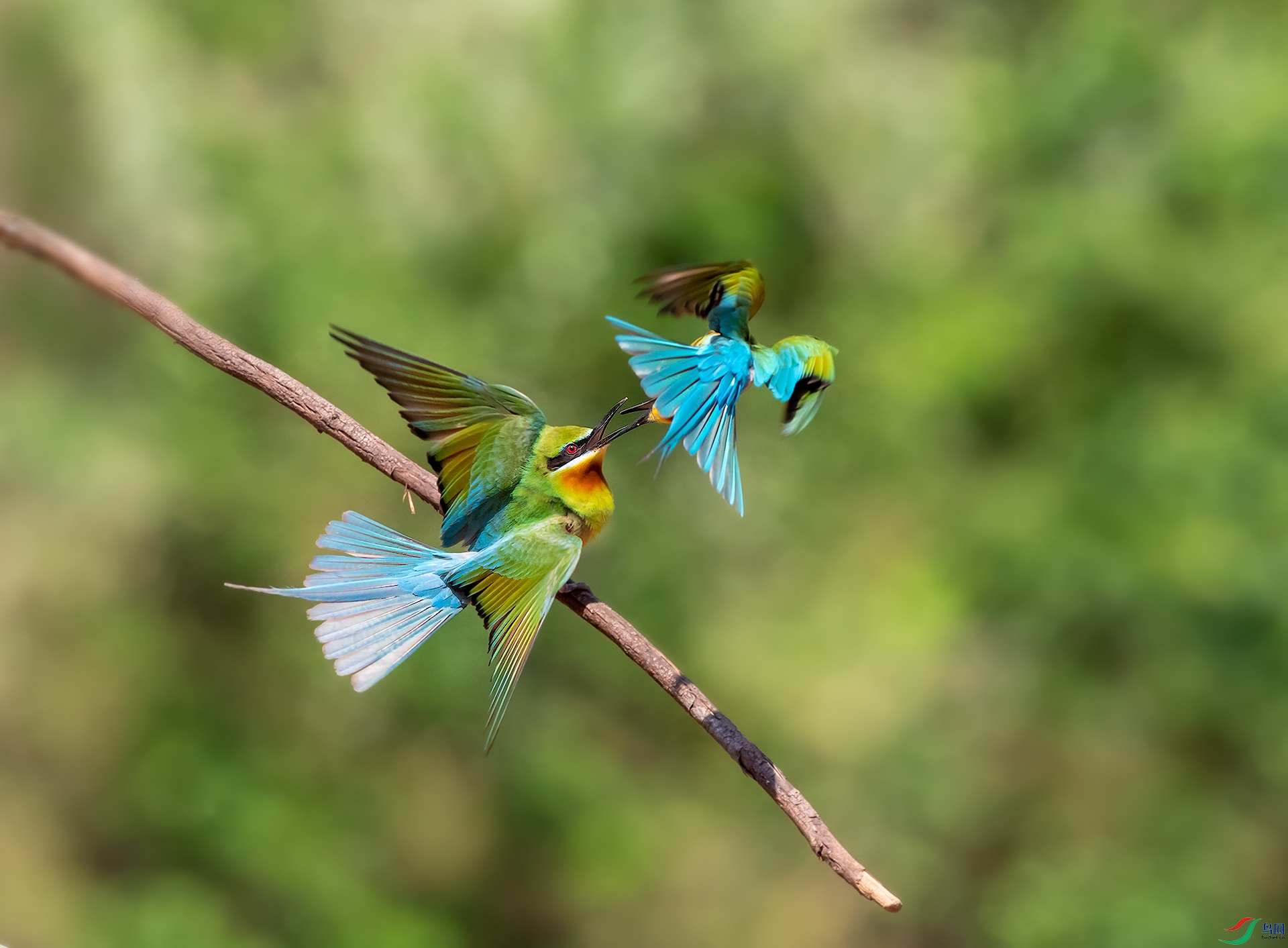 8A9A1488-����13.jpg