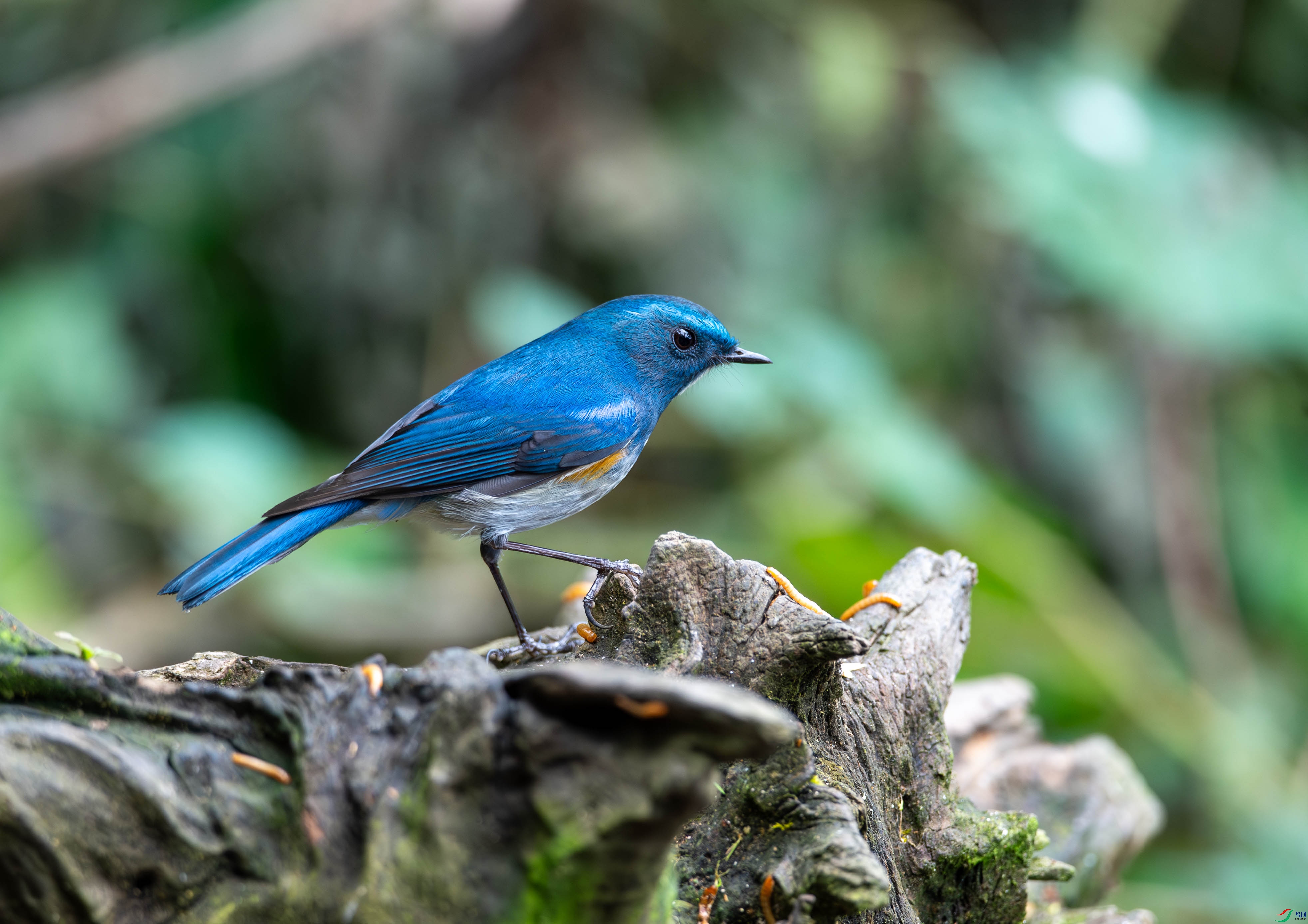 _DSC3684.jpg