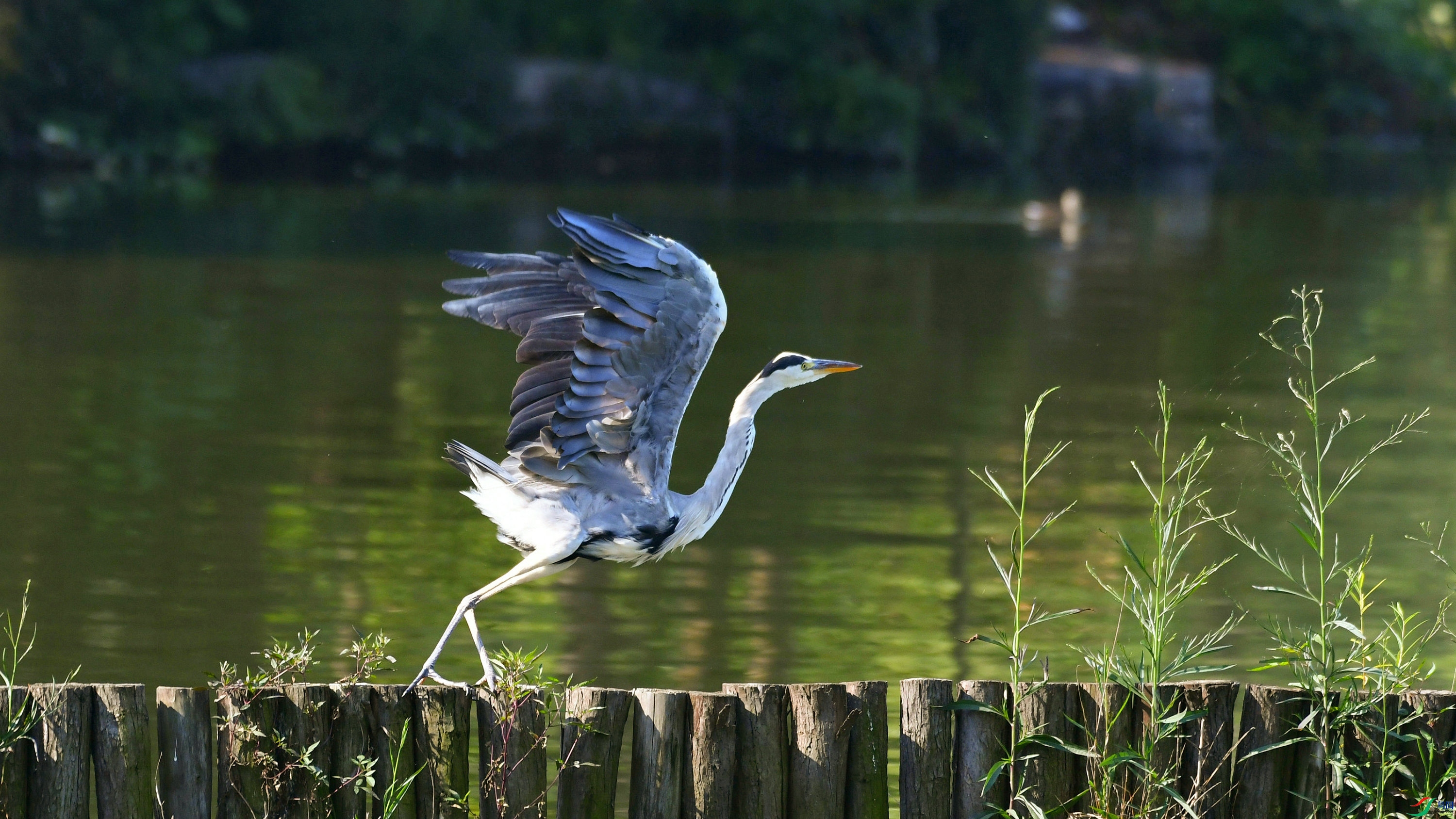 DSC_7673.JPG
