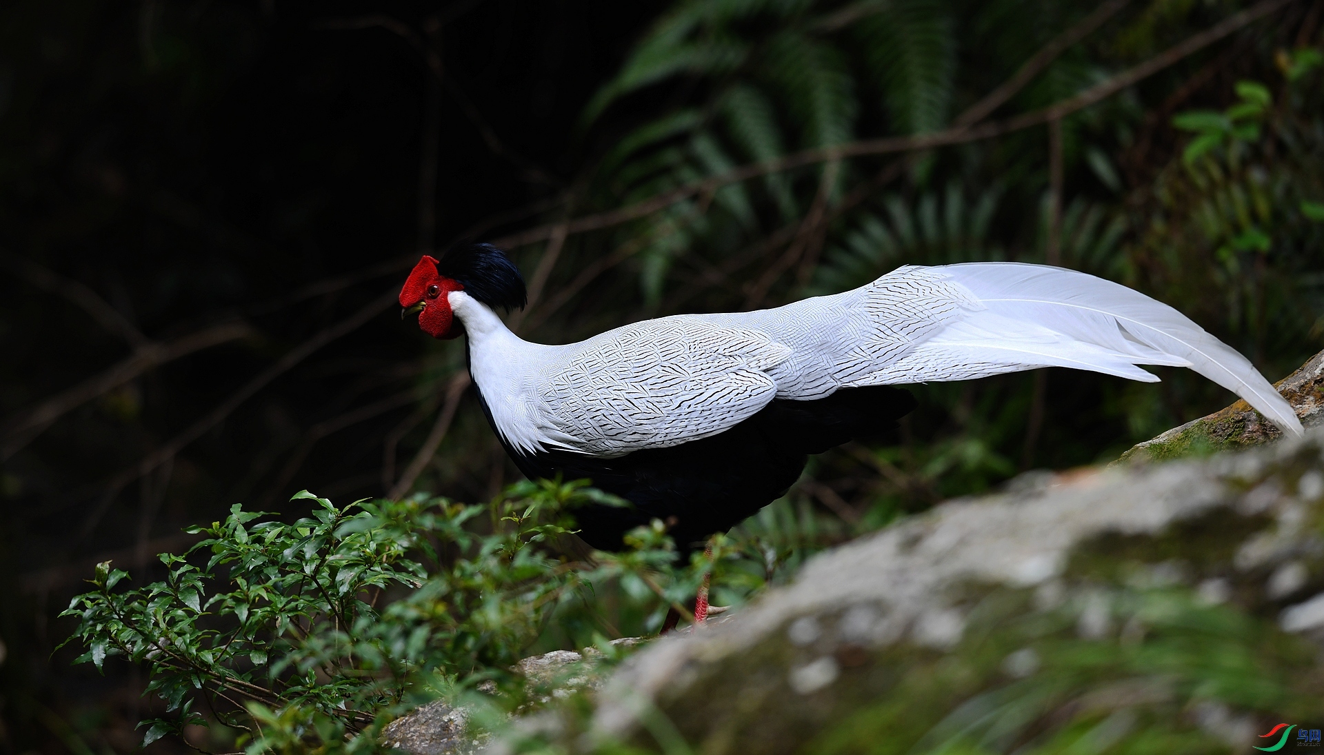 DSC_1796.jpg