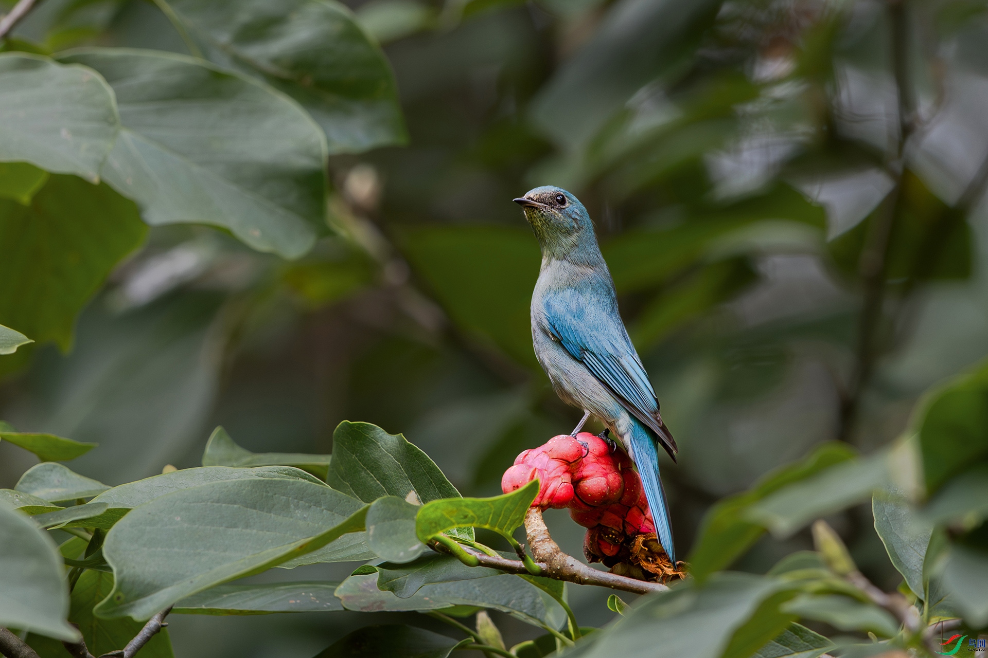 1I9A8121-1ab.jpg