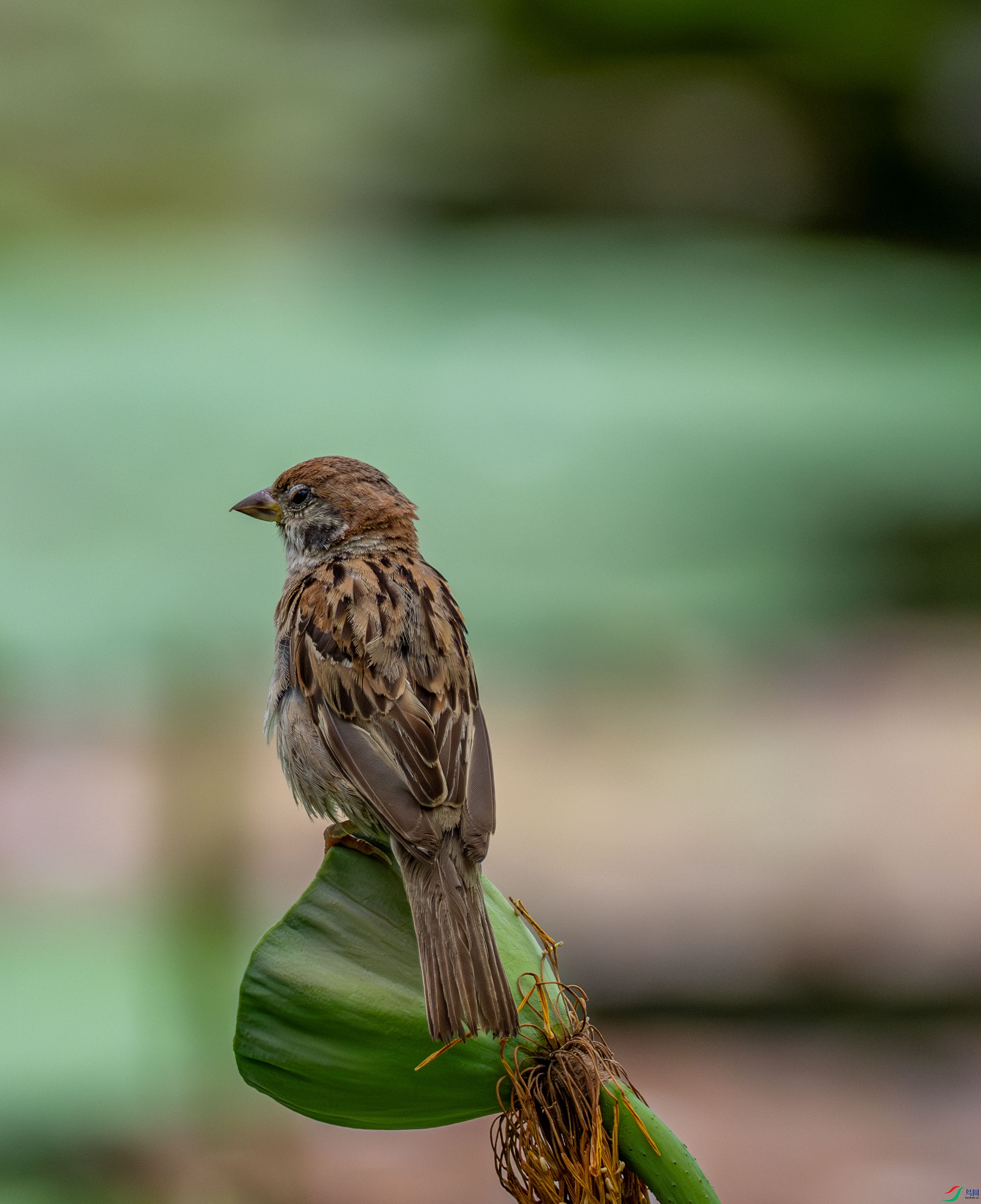 ��ȸ (13 - 13).jpg