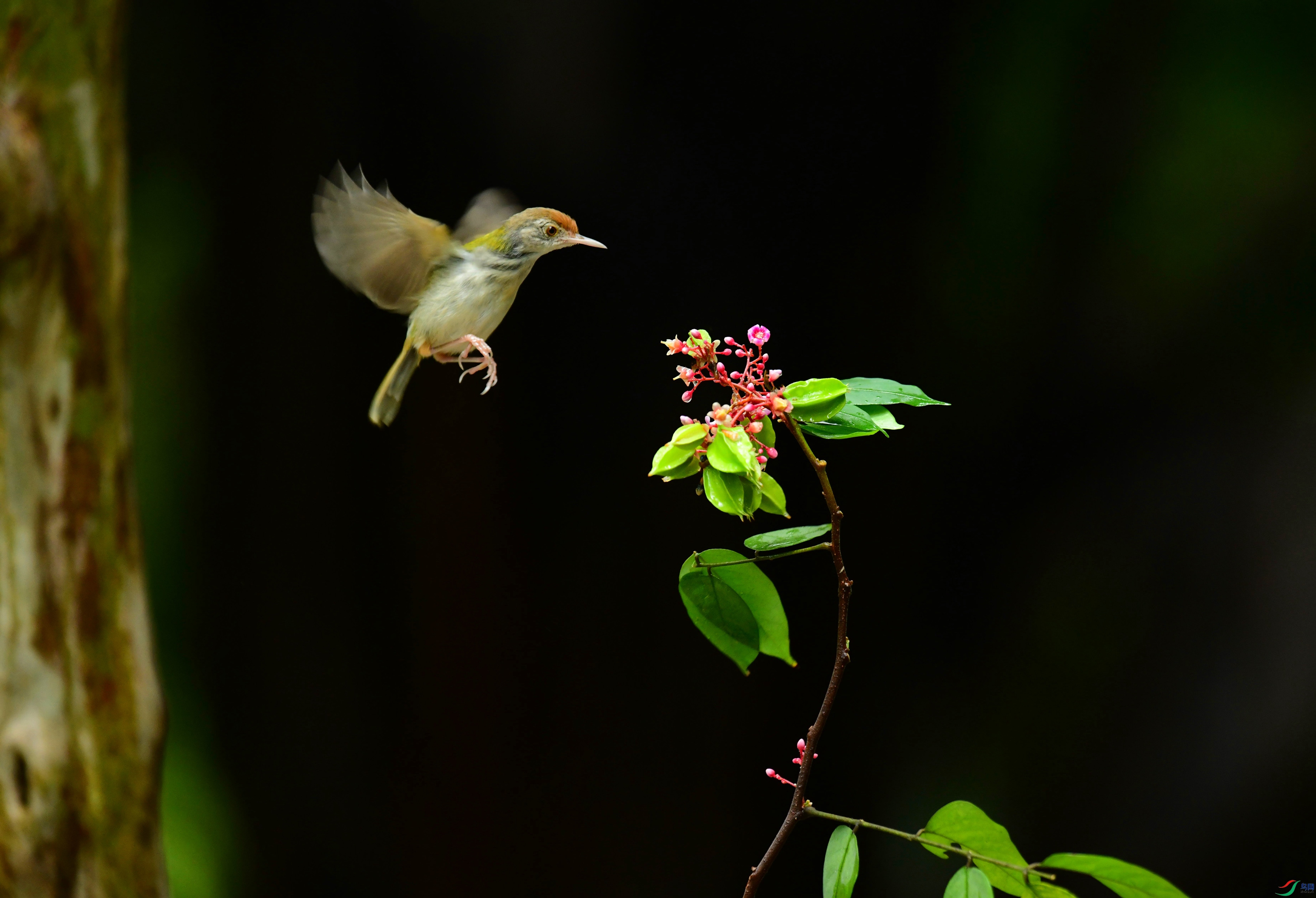 DSC_1417_��ͼ��_����.jpg