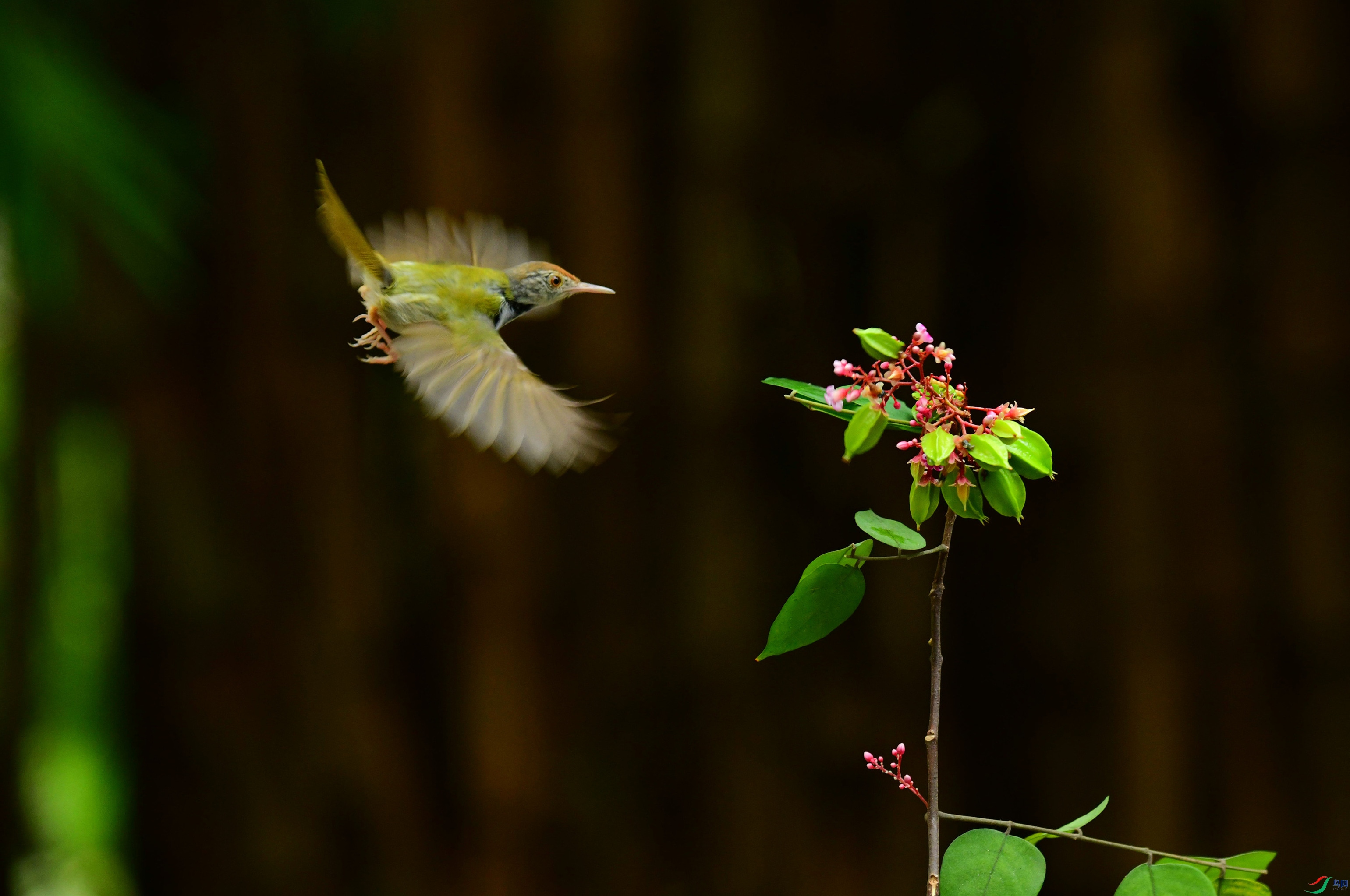 DSC_1731_��ͼ��_����_����.jpg