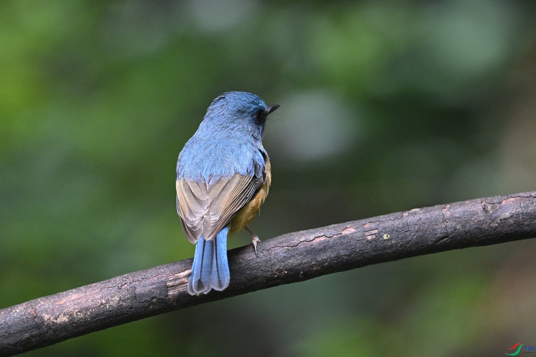 DSC_7224.JPG
