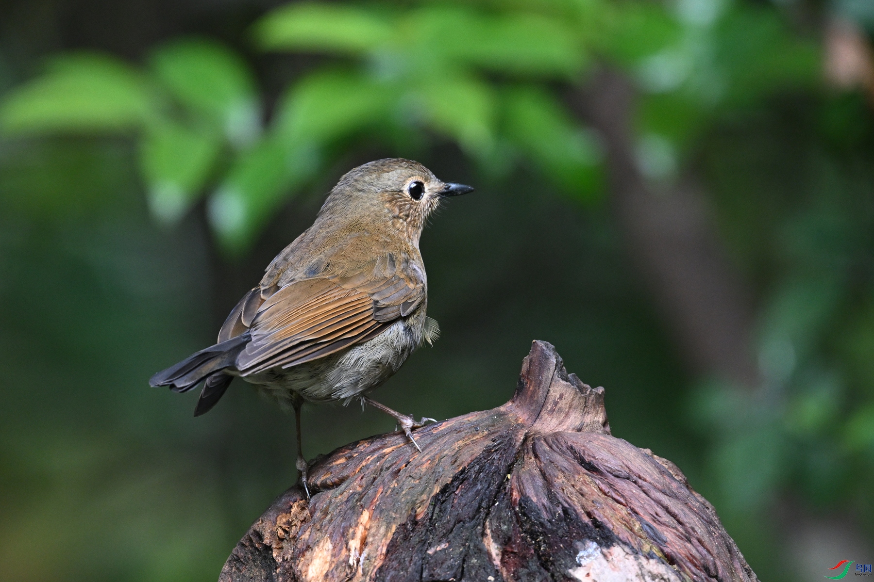 DSC_7286.JPG