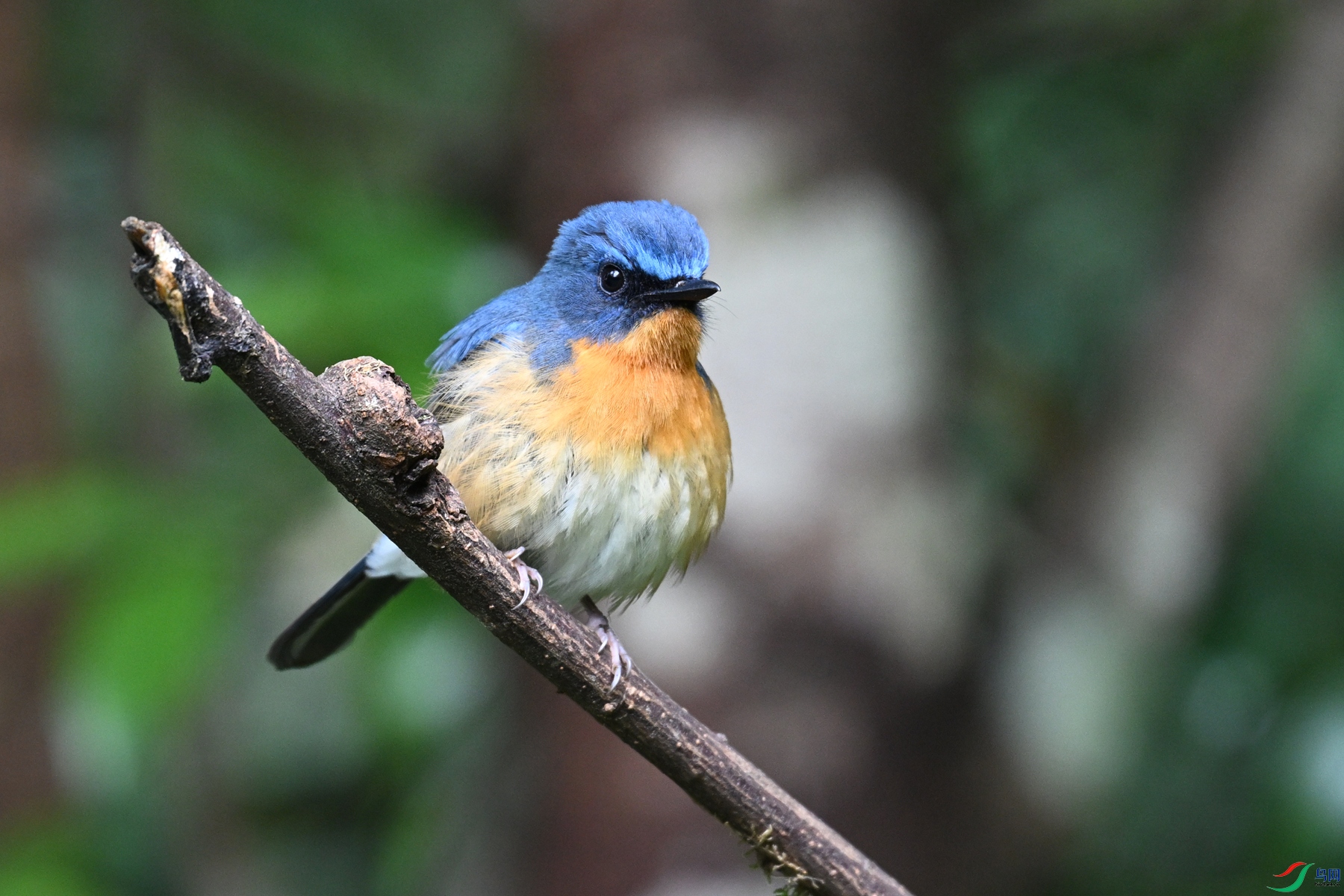 DSC_7260.JPG