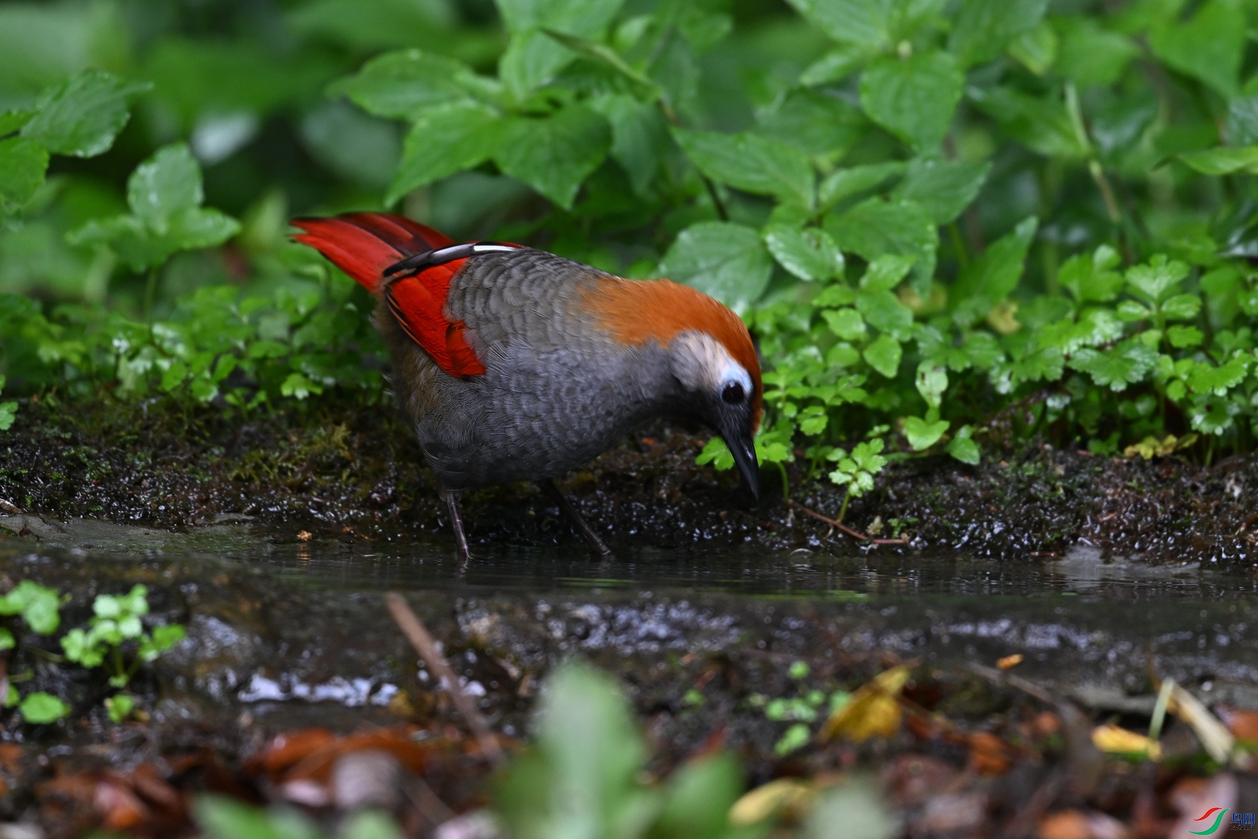 DSC_7256.JPG