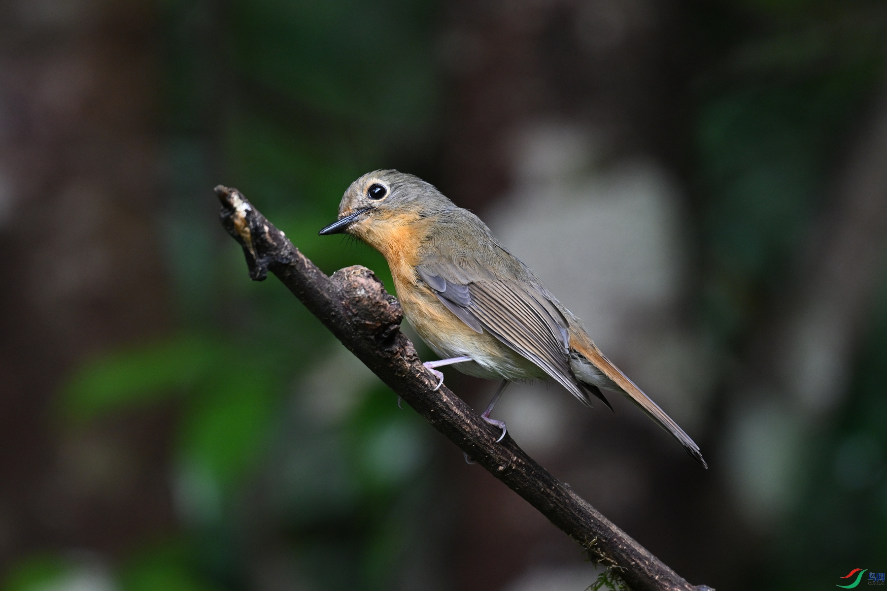 DSC_7261.JPG