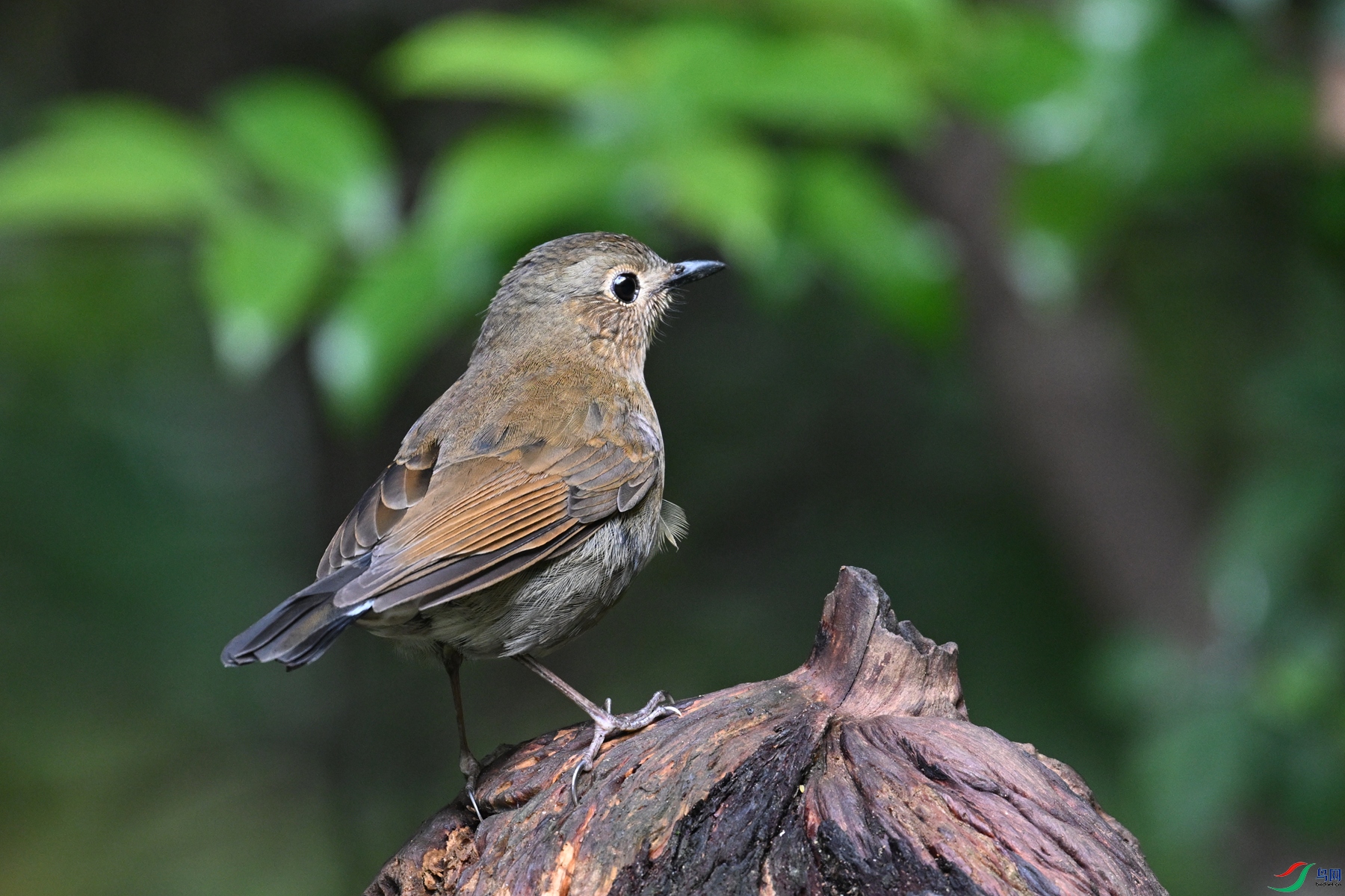 DSC_7284.JPG