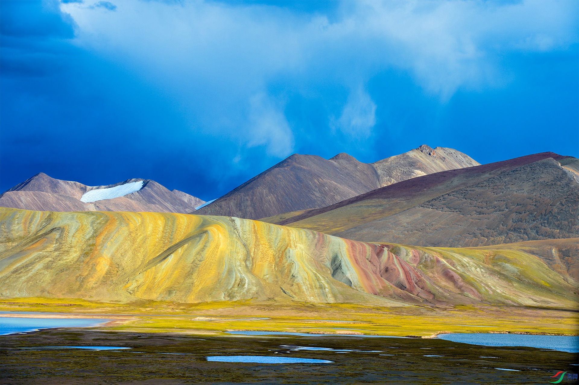 DSC_7760-1-1.jpg-1.jpg