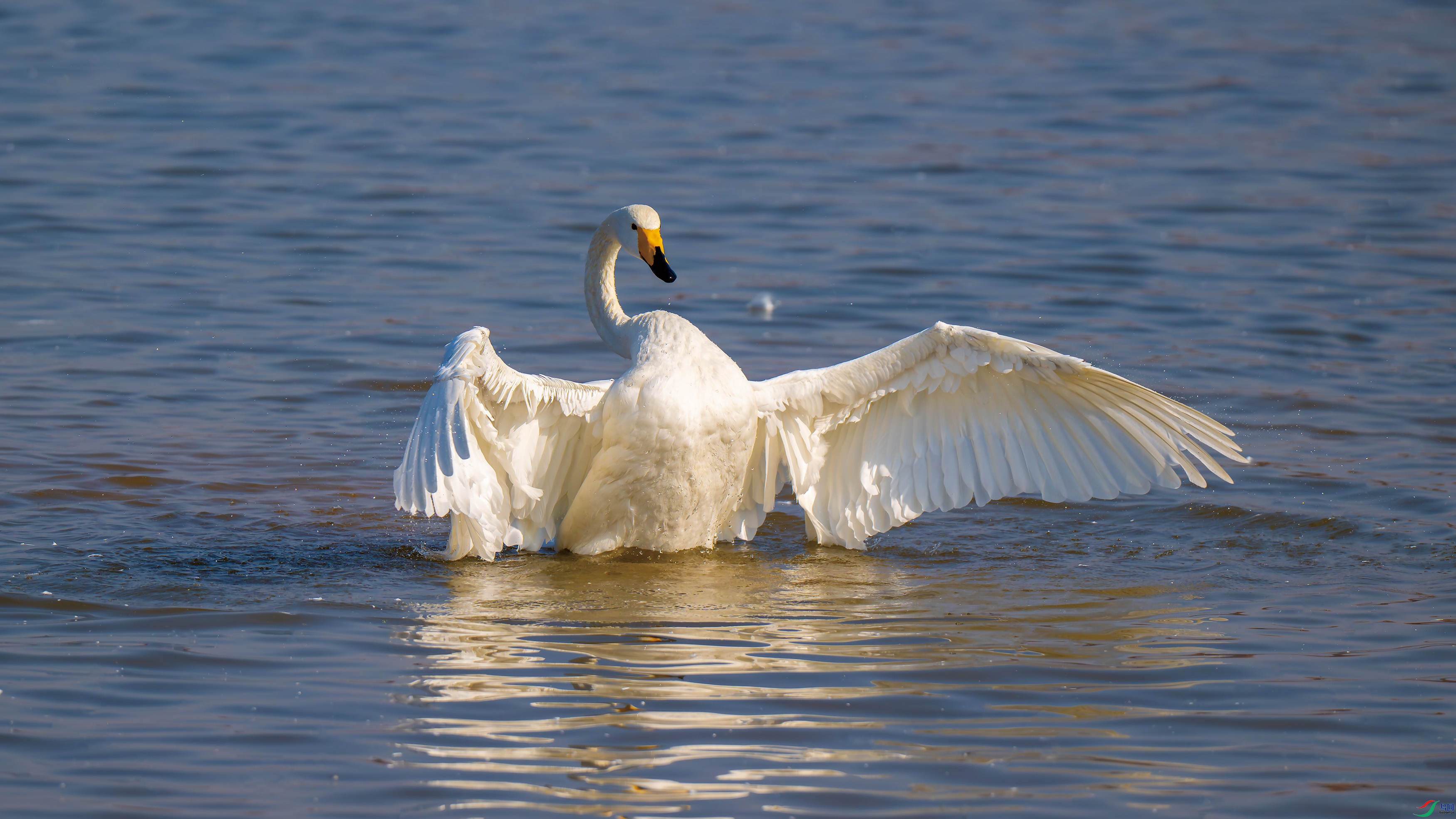 DSC_7535.jpg