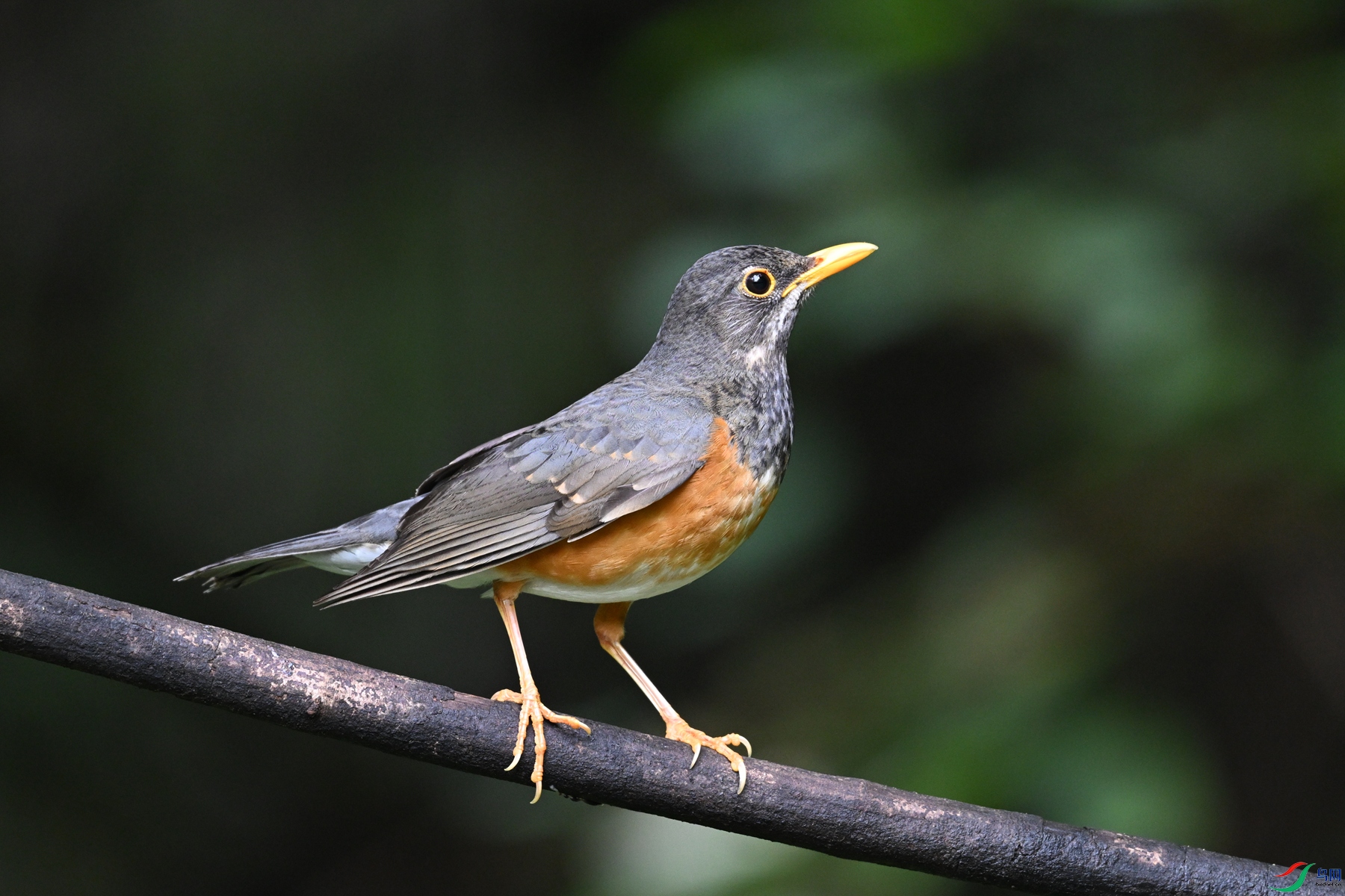 DSC_7272.JPG
