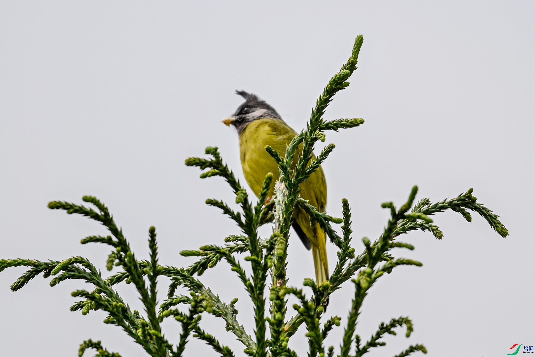 DSC_7337.JPG