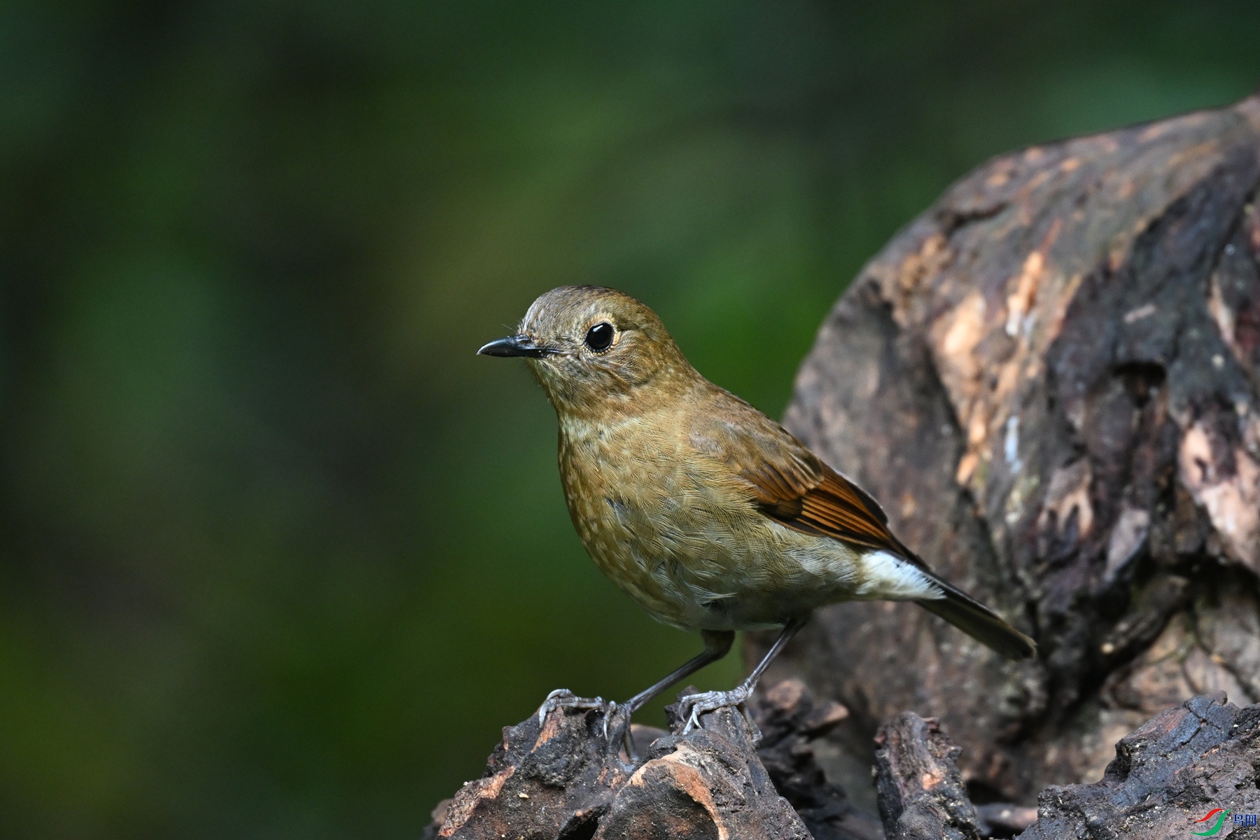 DSC_7274.JPG