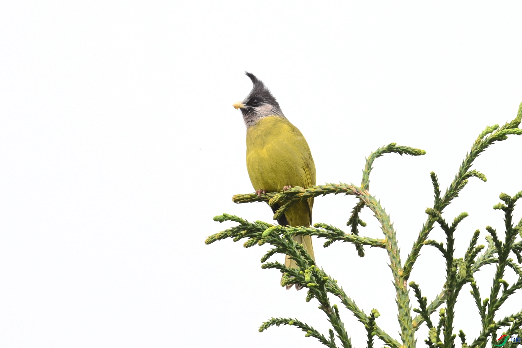 DSC_7341.JPG