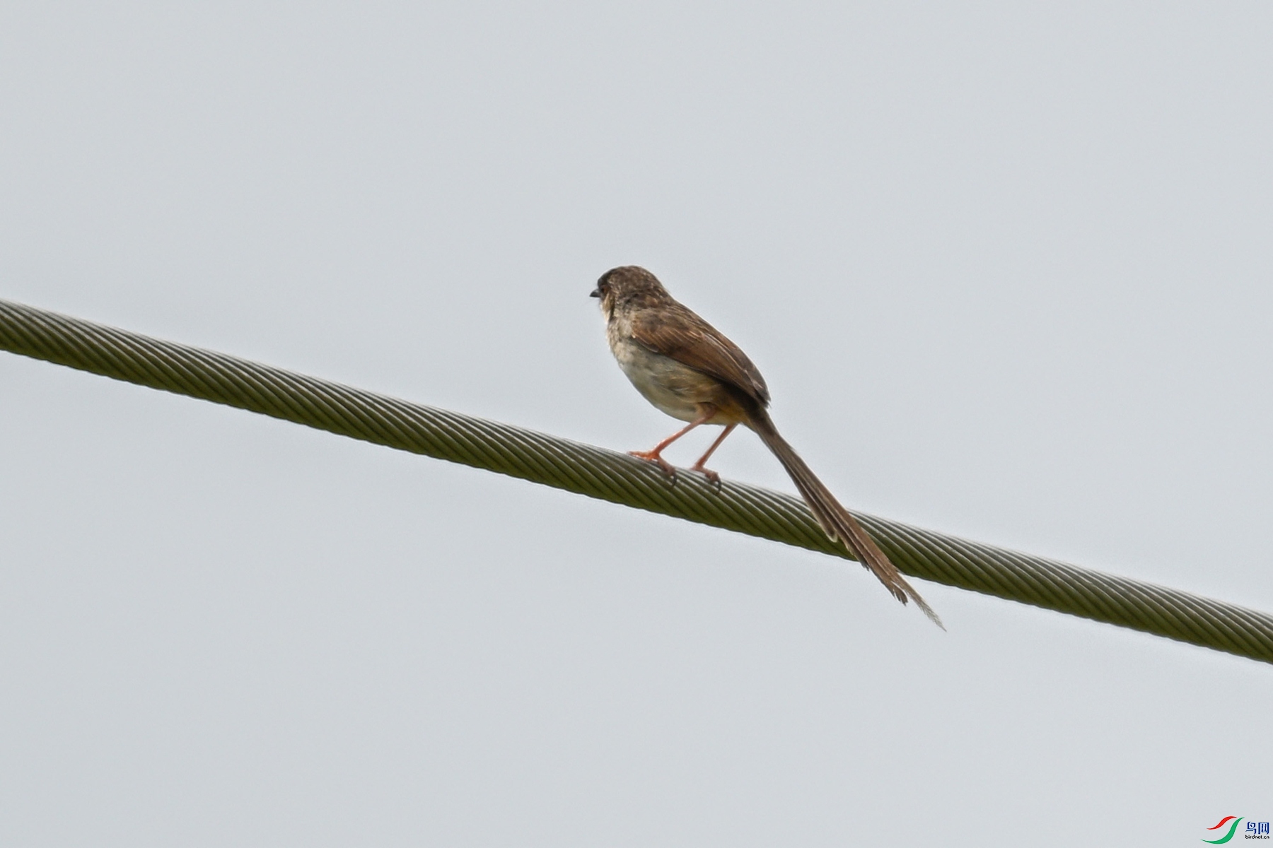 DSC_7355.JPG