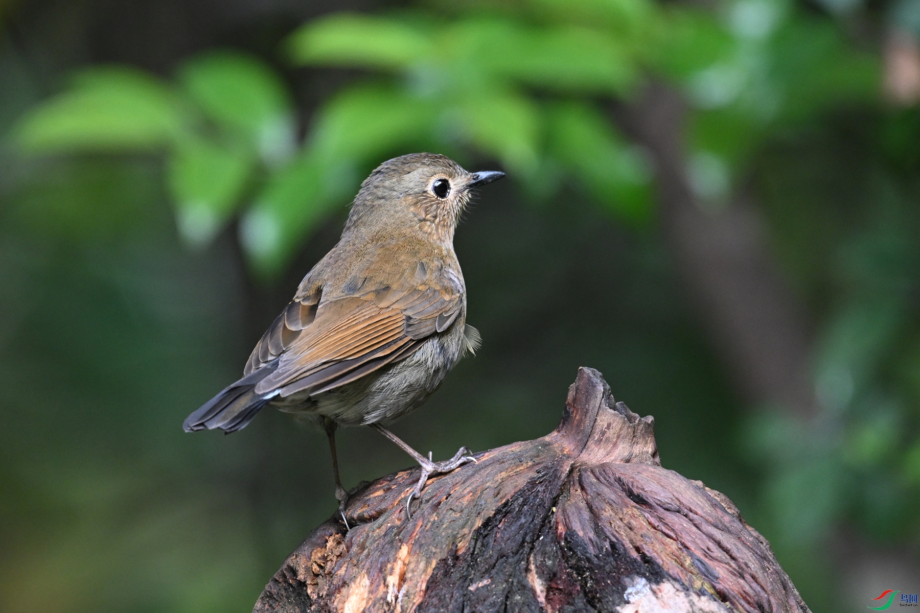 DSC_7285.JPG