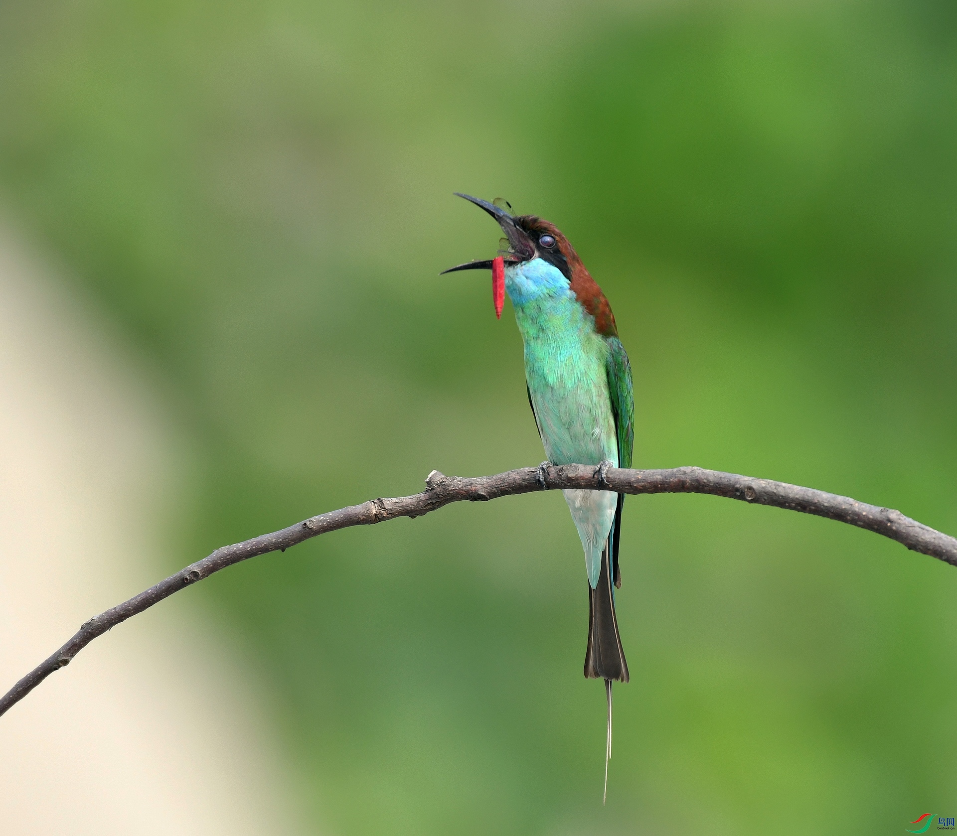 DSC_2771.jpg