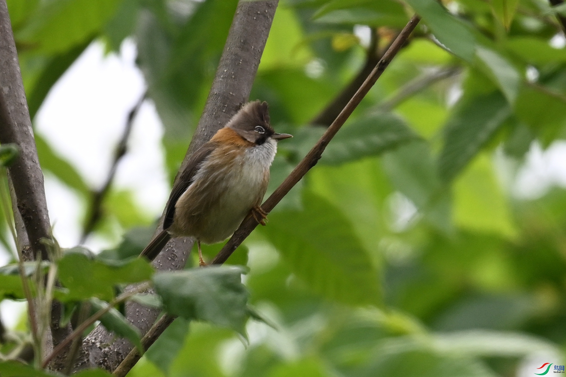 DSC_7351.JPG