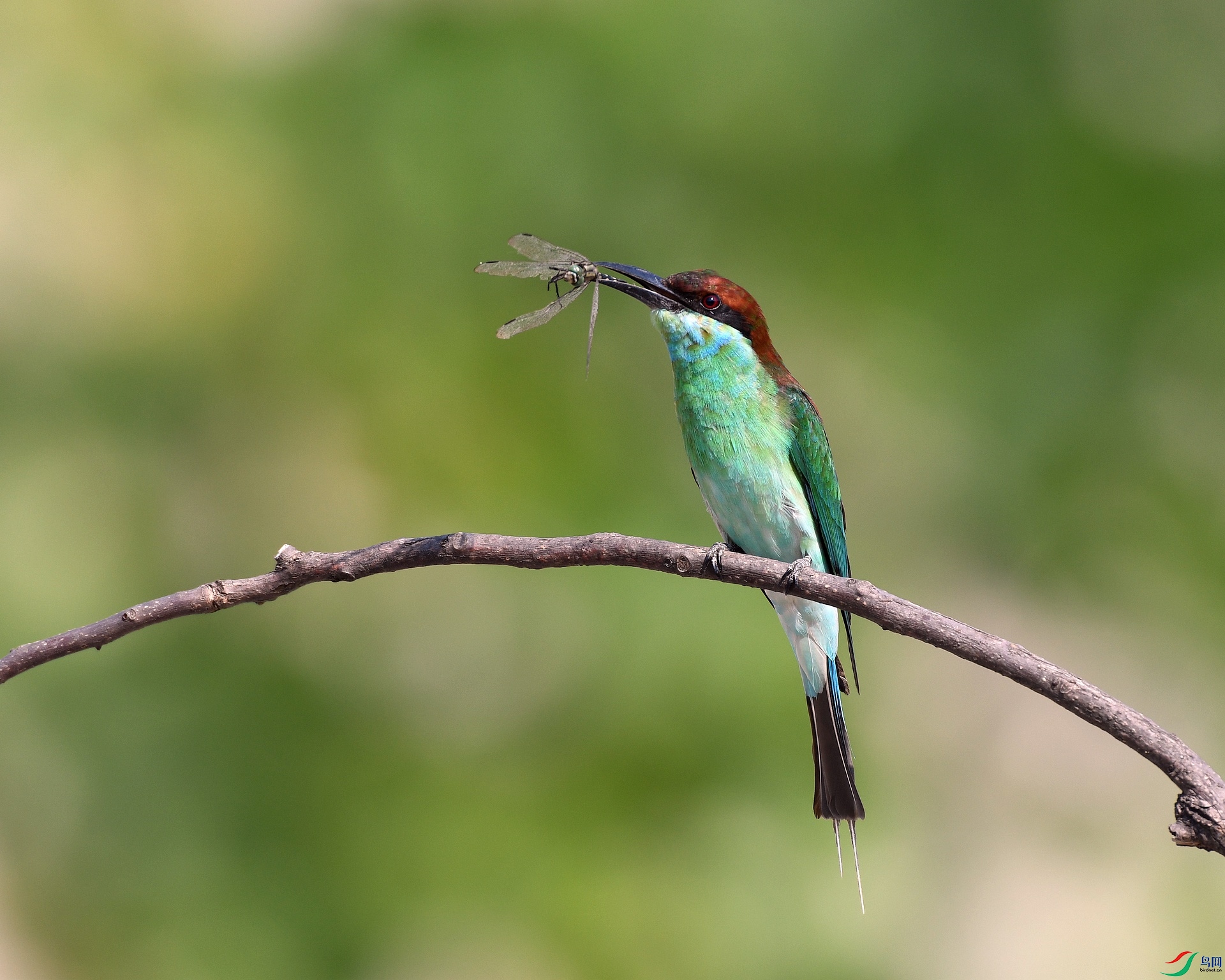 DSC_3705.jpg