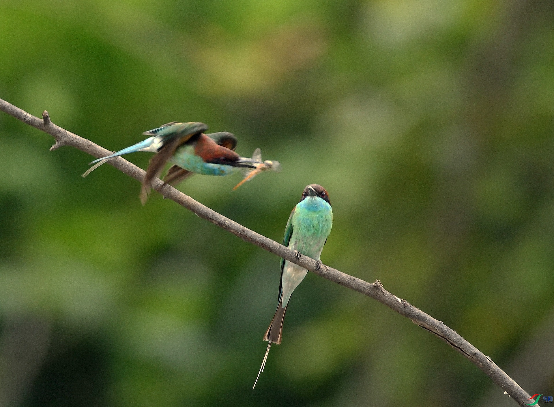 DSC_7077.jpg