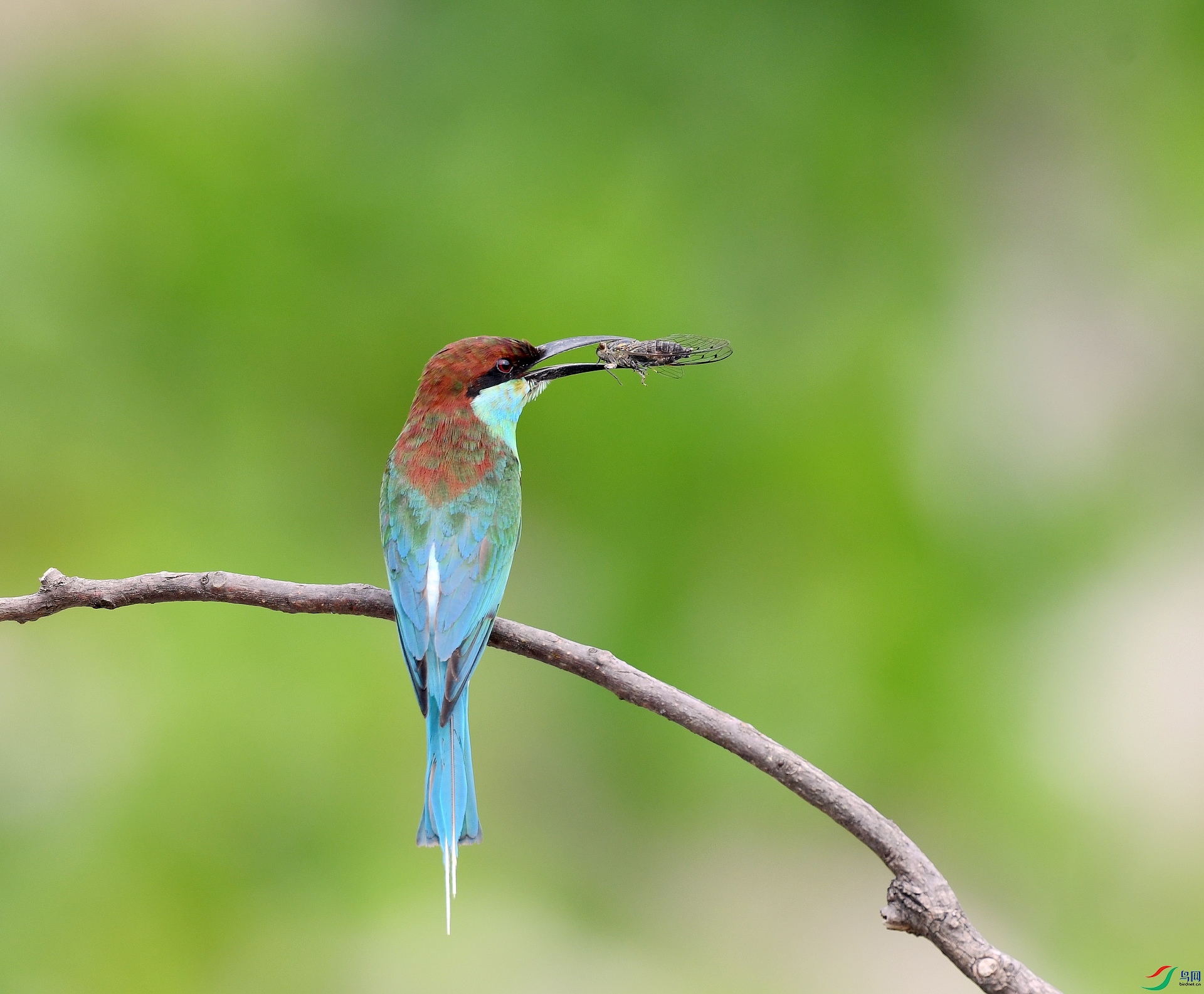 DSC_0824.jpg