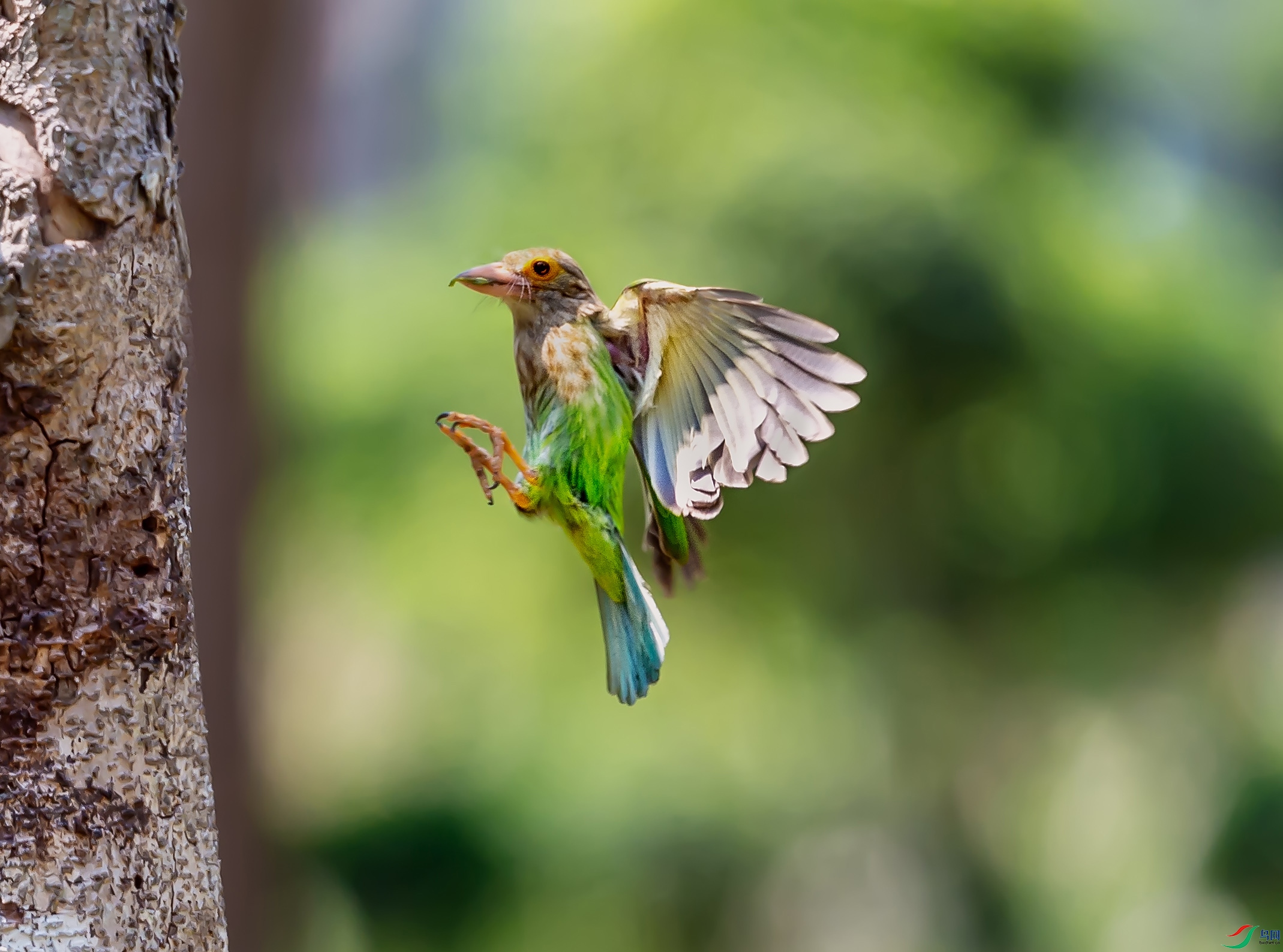 DSC_6120.jpg