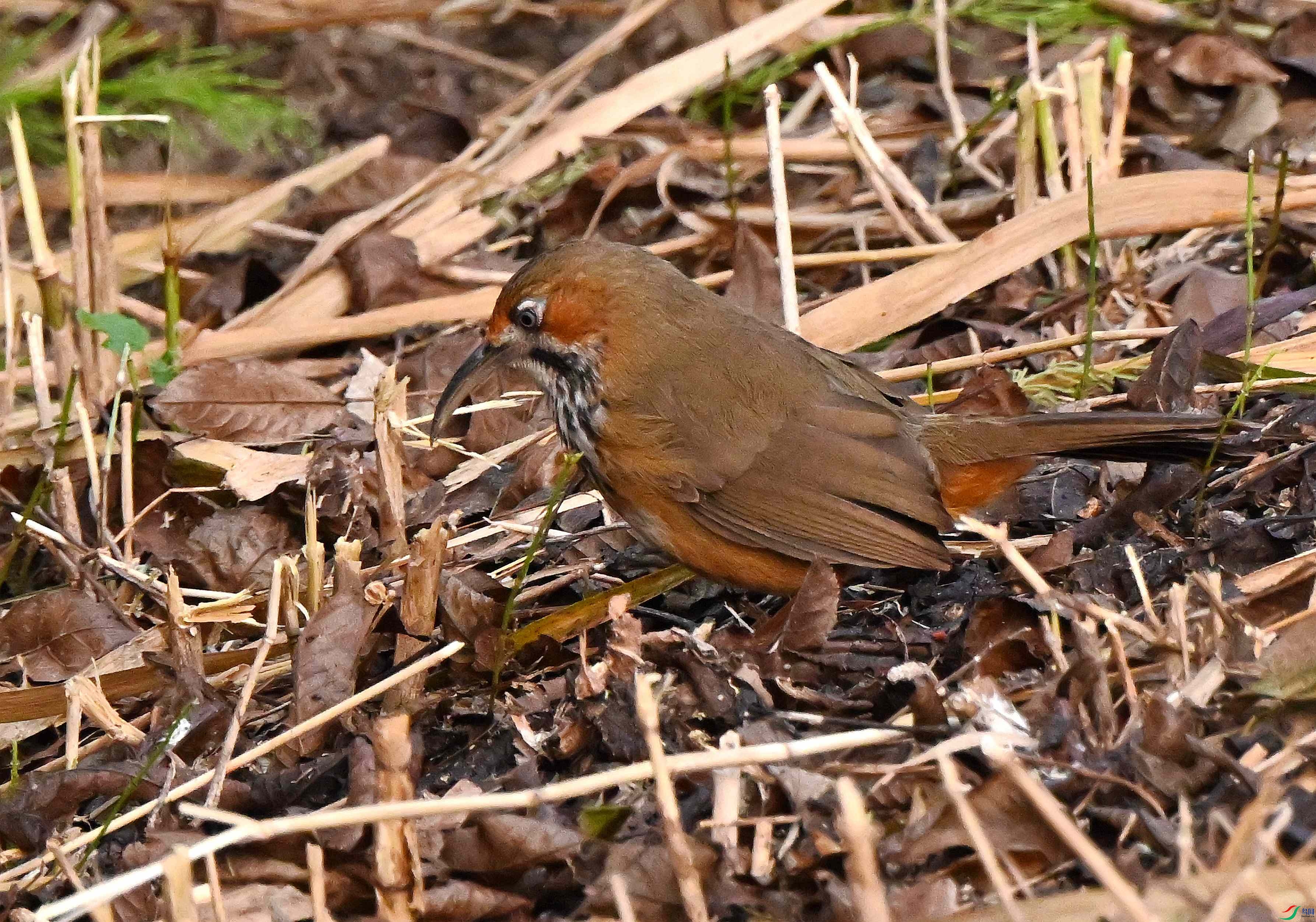 DSC_0851.JPG