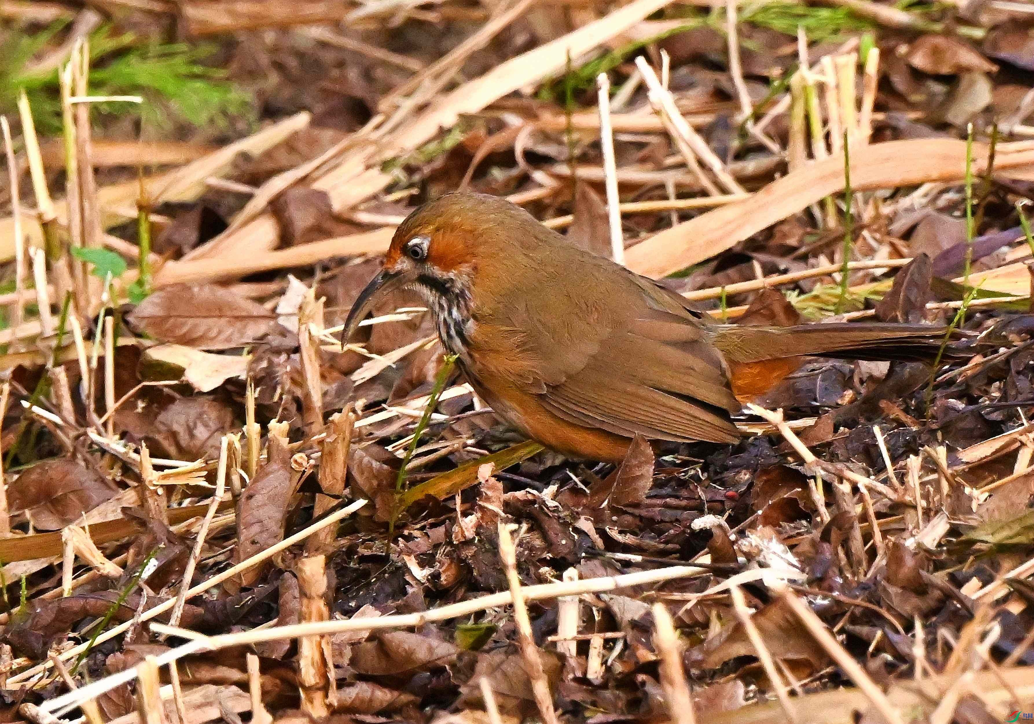 DSC_0854.JPG