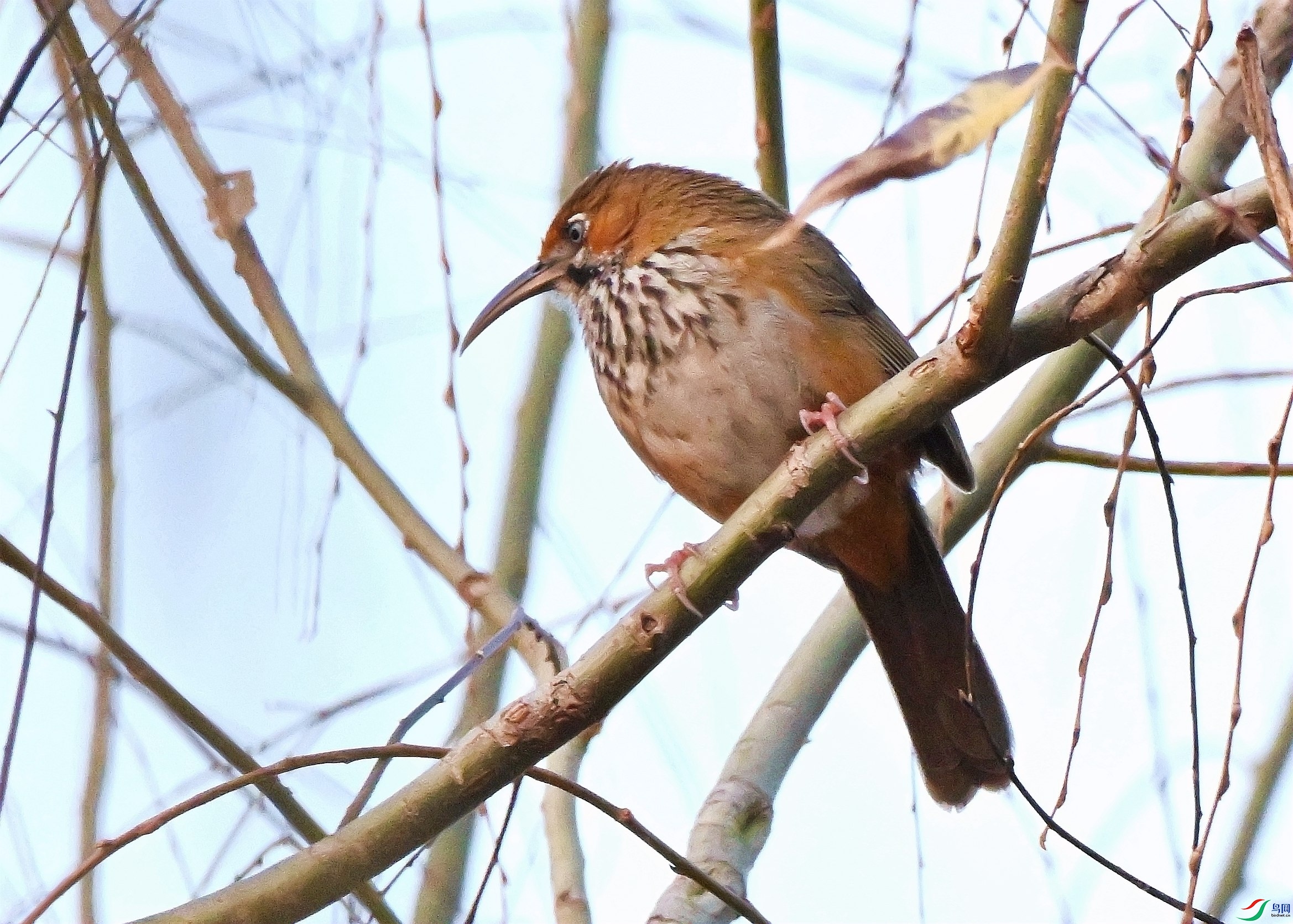 DSC_1722.JPG