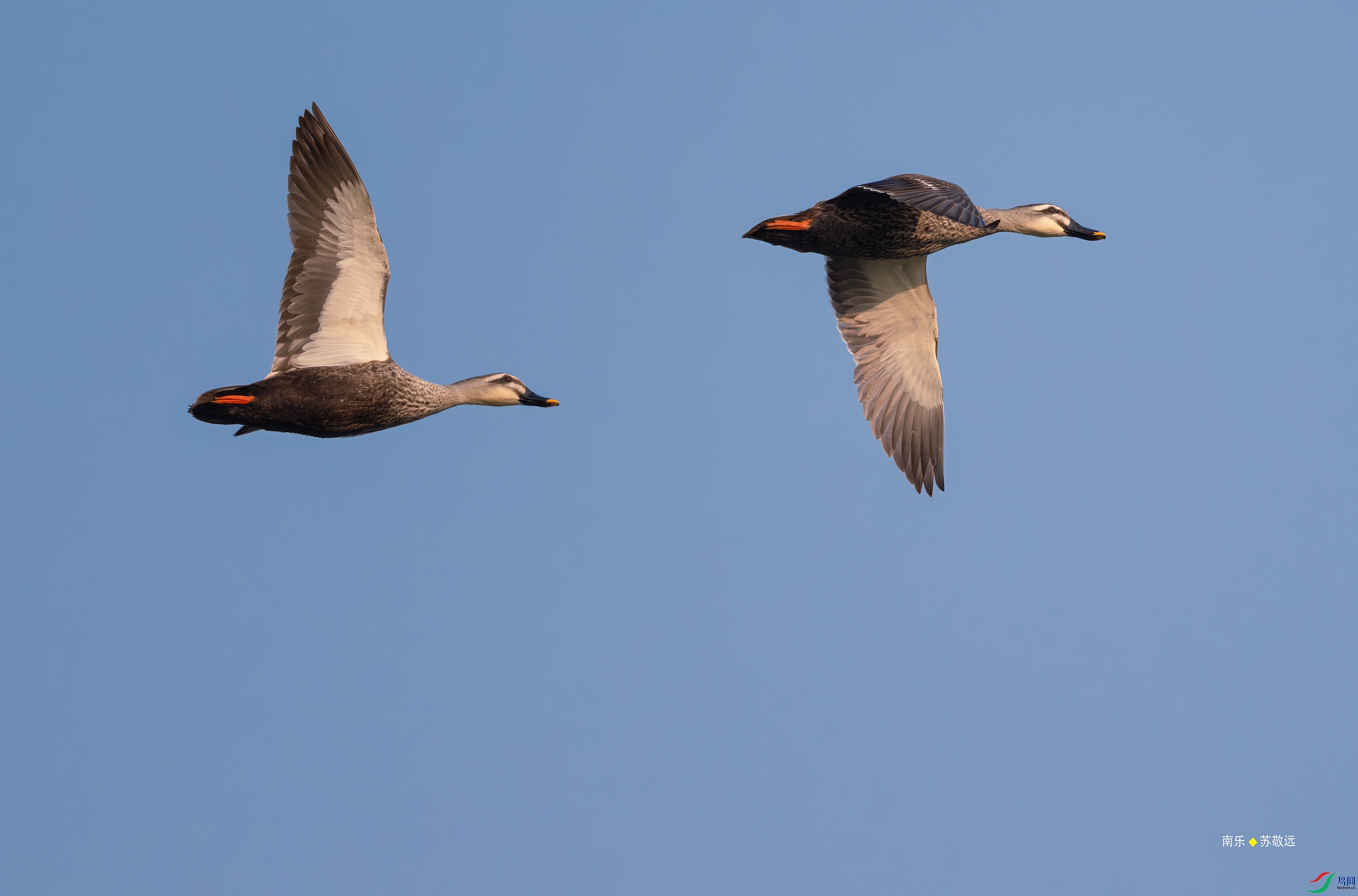 _DSC0618-DxO_С.jpg