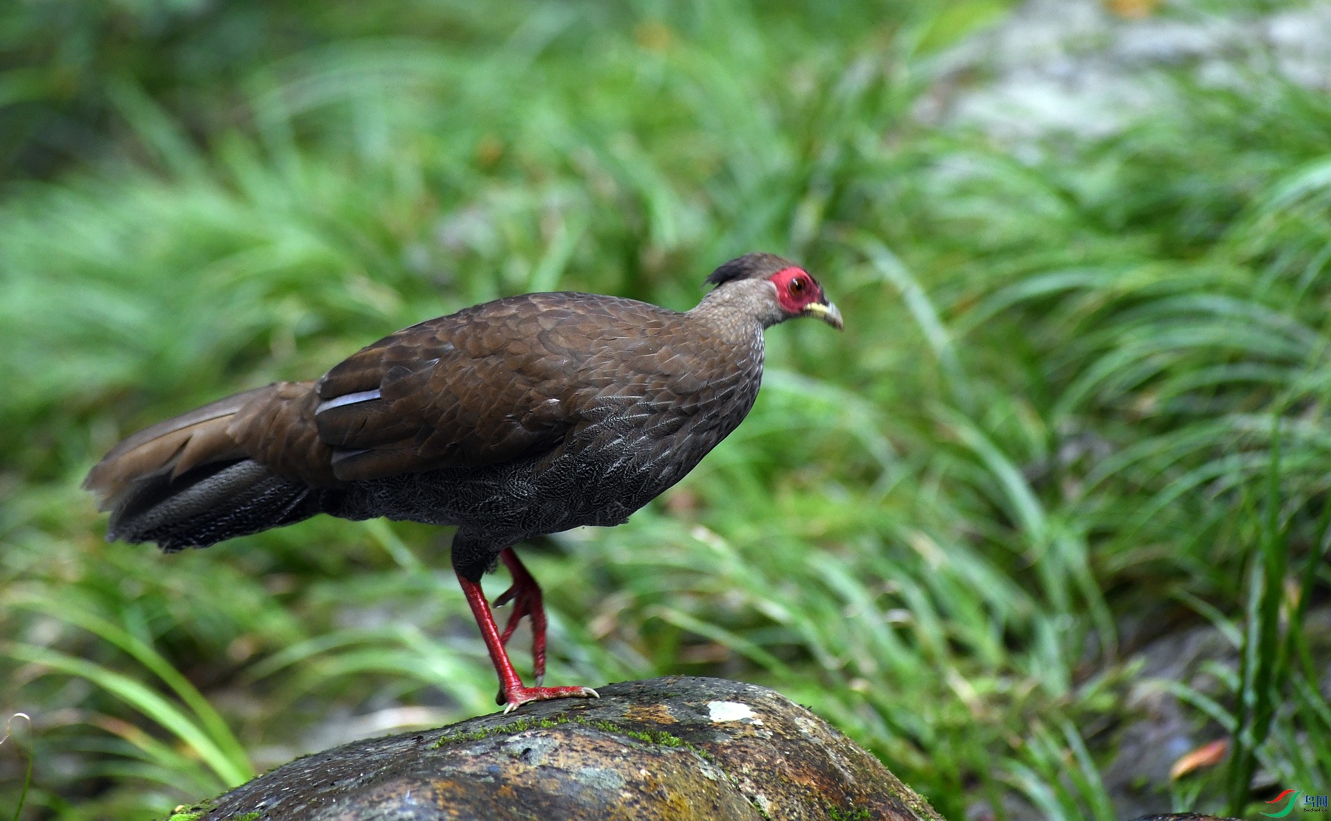 DSC_4180.jpg