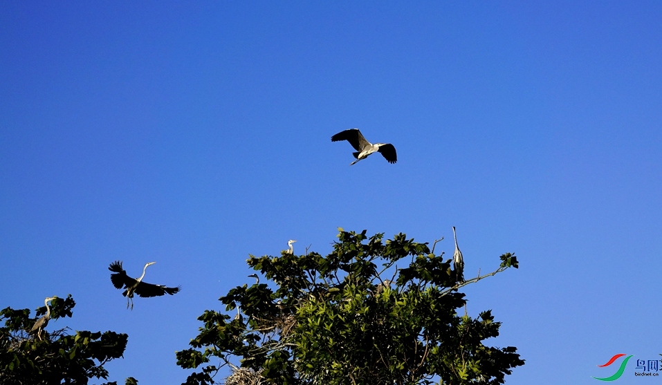 _DSC8678.JPG