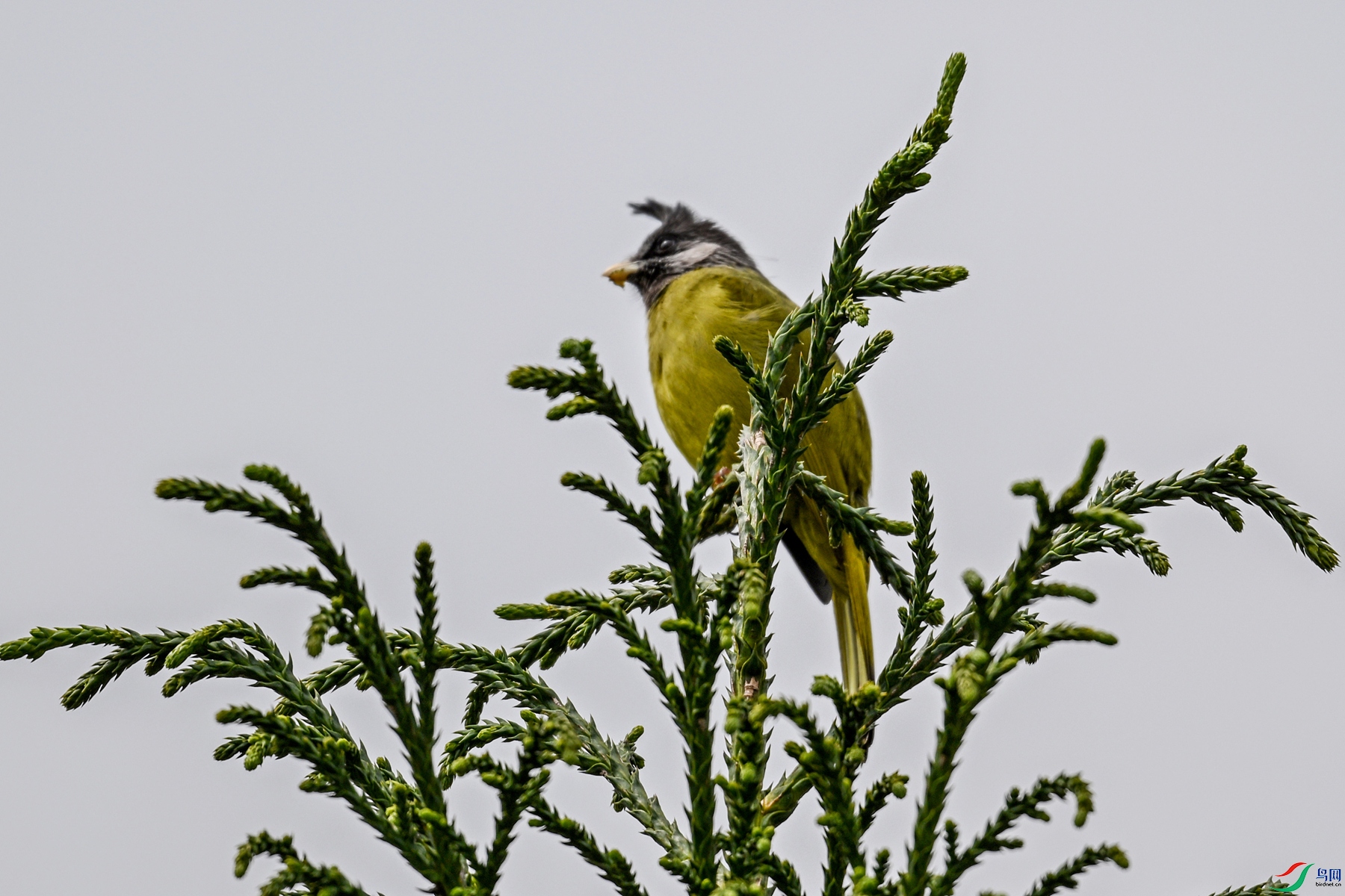 DSC_7336.JPG