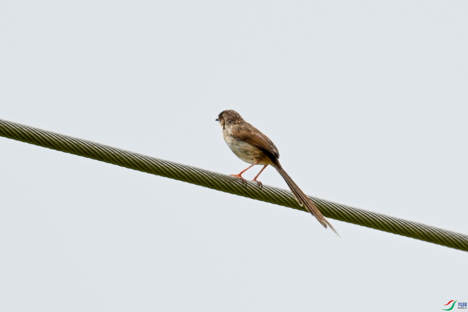 DSC_7356.JPG