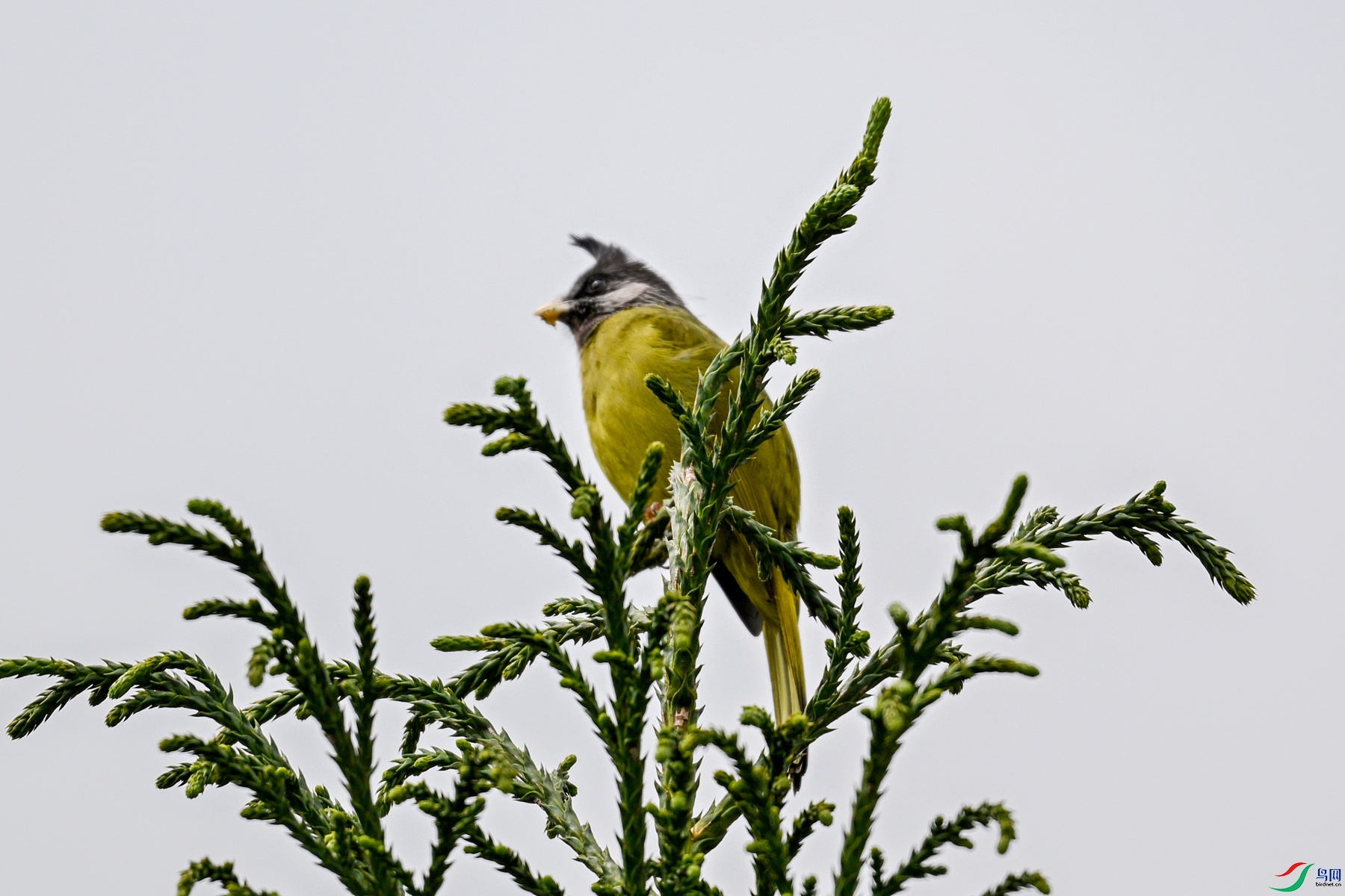 DSC_7338.JPG
