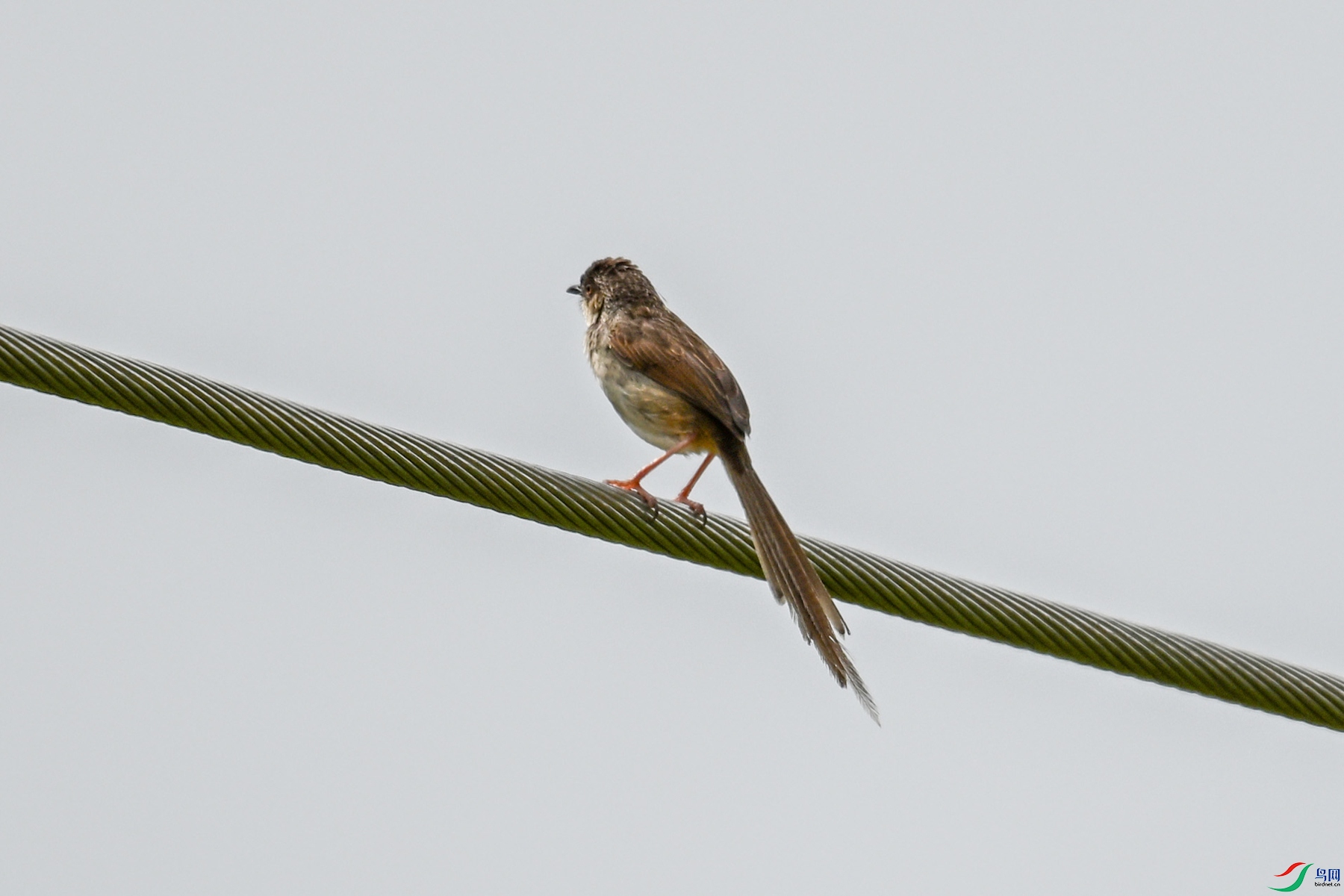 DSC_7360.JPG