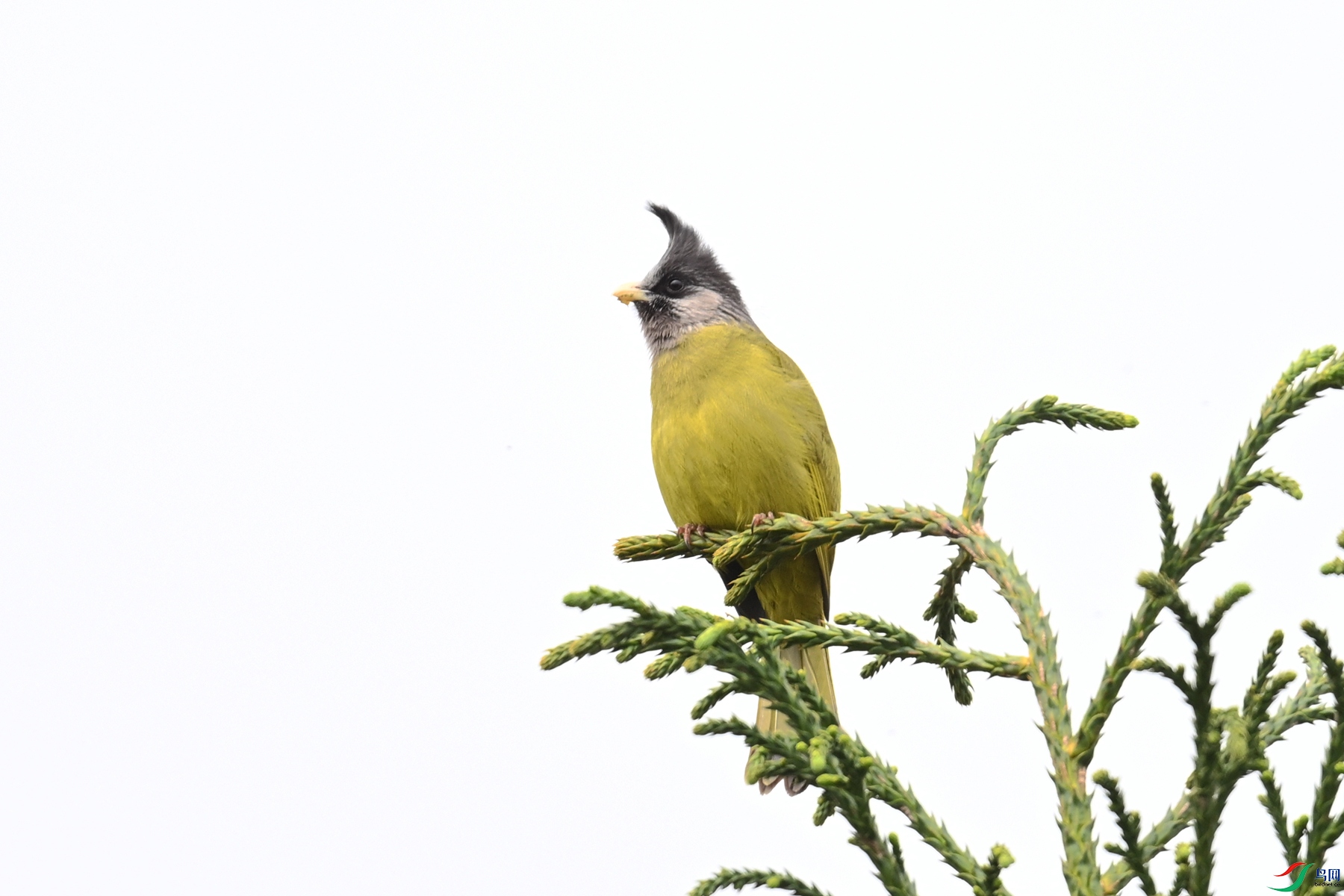 DSC_7340.JPG