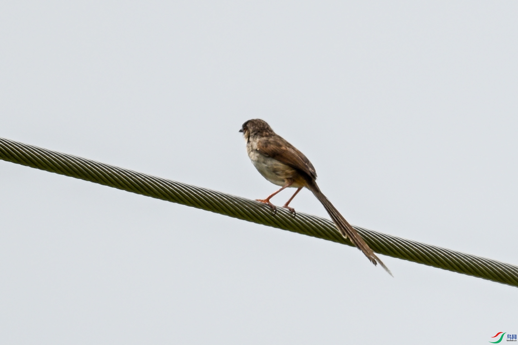 DSC_7354.JPG